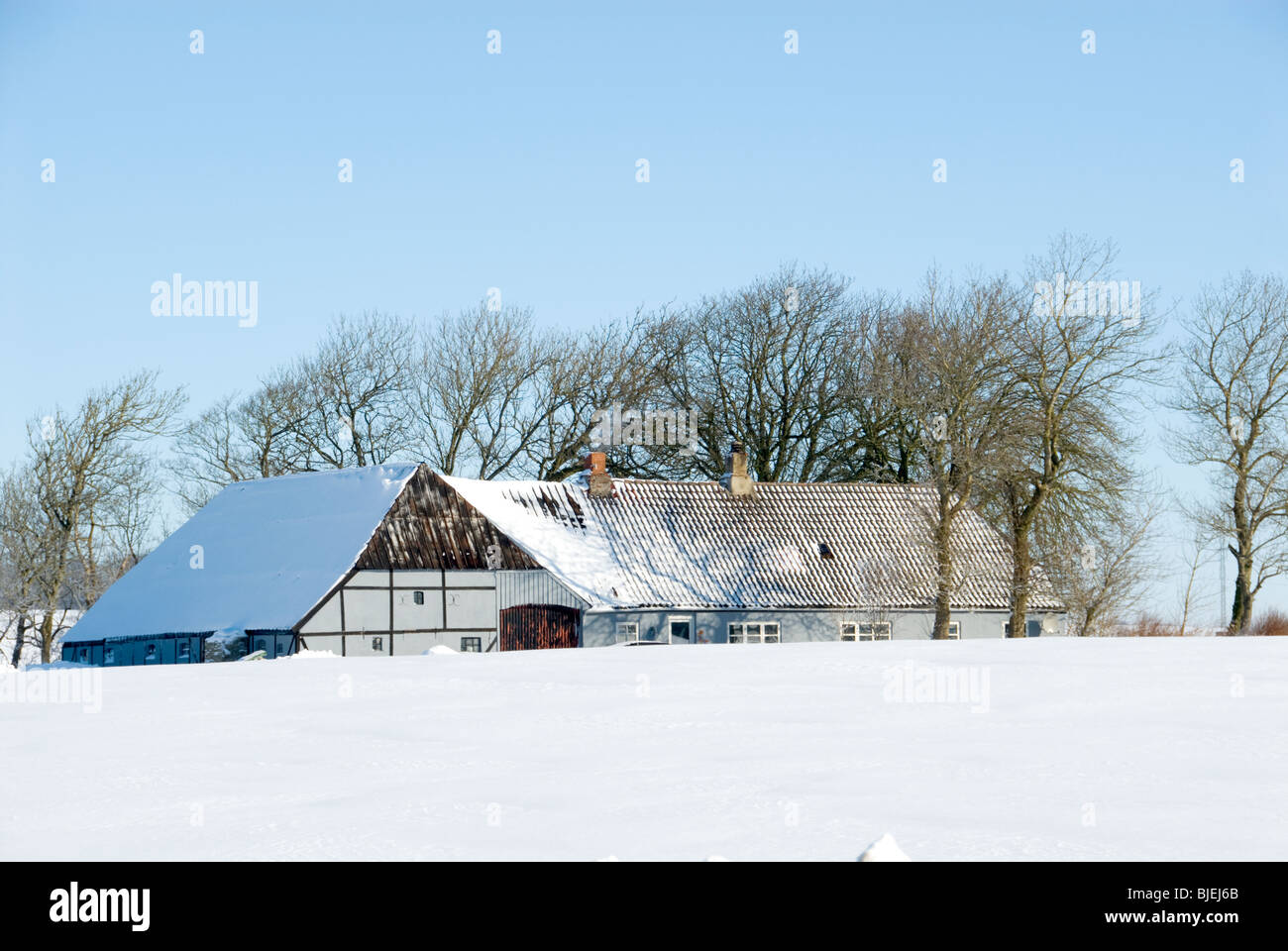 Alte dänische Bauernhaus in viel Schnee Stockfoto