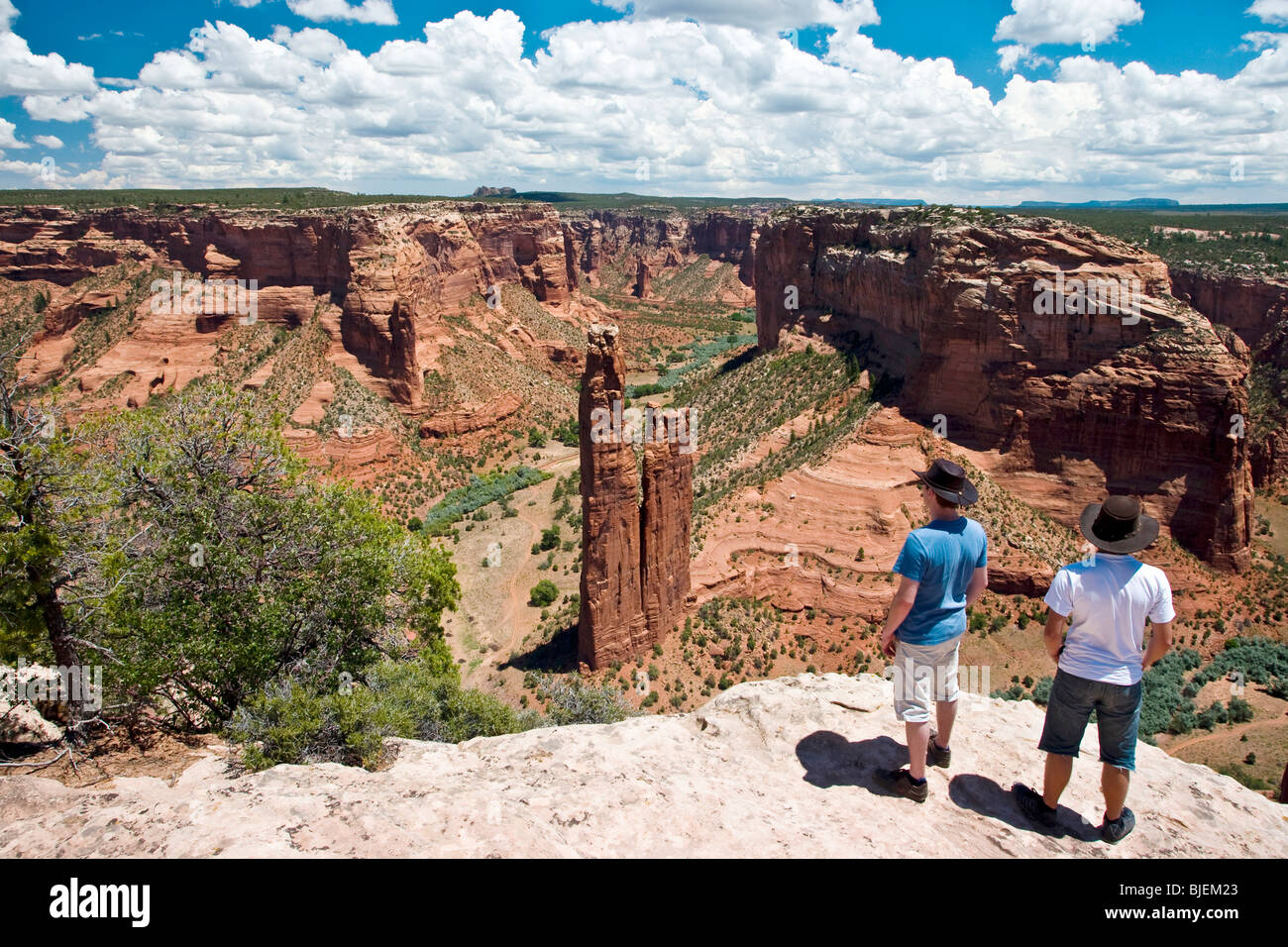 Blick auf die Spider Rock, Canyon de Chelly, Arizona, USA, Luftbild Stockfoto