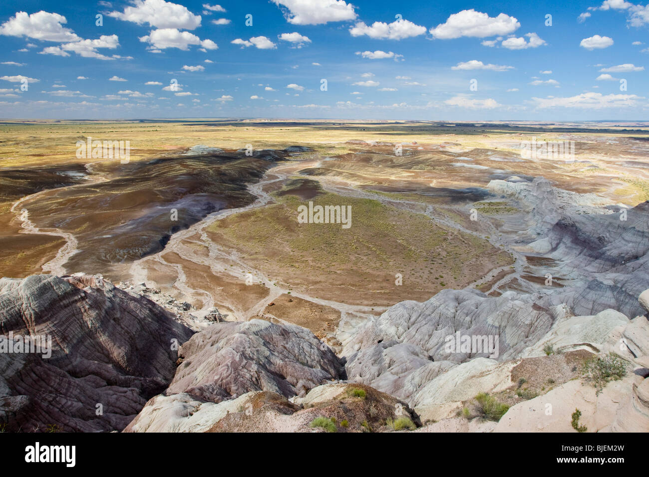 Versteinerte Forest National Park, Arizona, USA Stockfoto