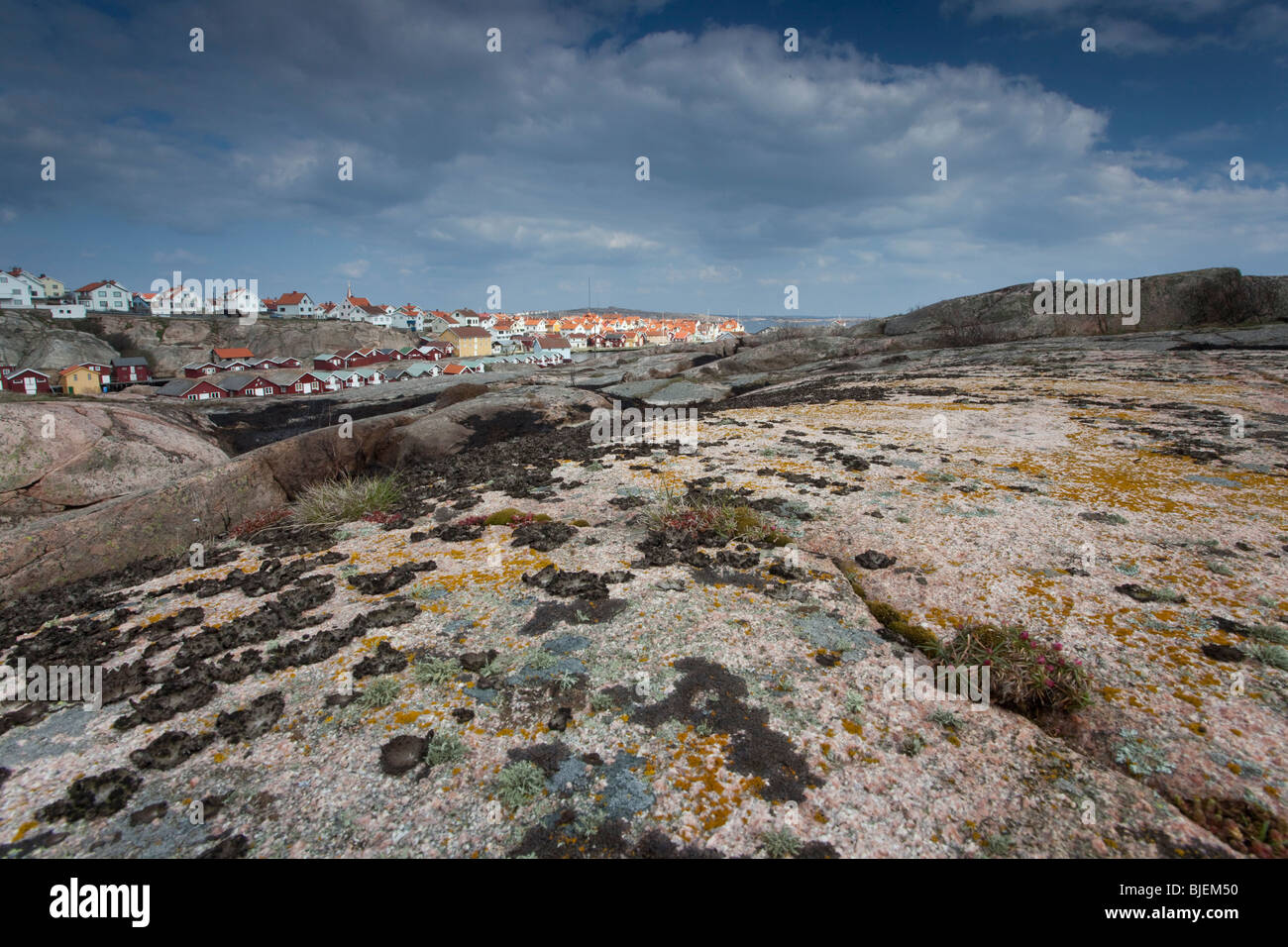 Felsenküste, Smoegen, Schweden Stockfoto