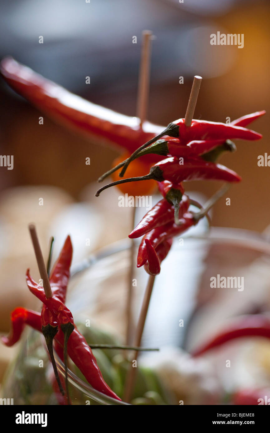 Red Chilli Peppers am Spieß, Nahaufnahme Stockfoto