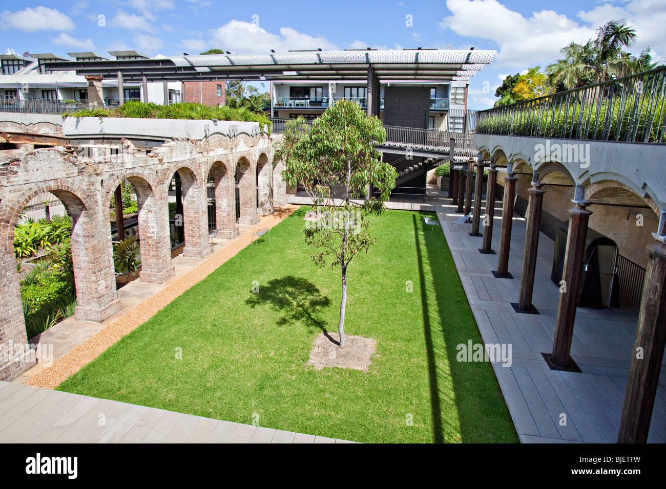 Paddington-Reservoir-Gärten, das Walter Reed reservieren, Oxford Street, Sydney, New South Wales, Australien. Stockfoto