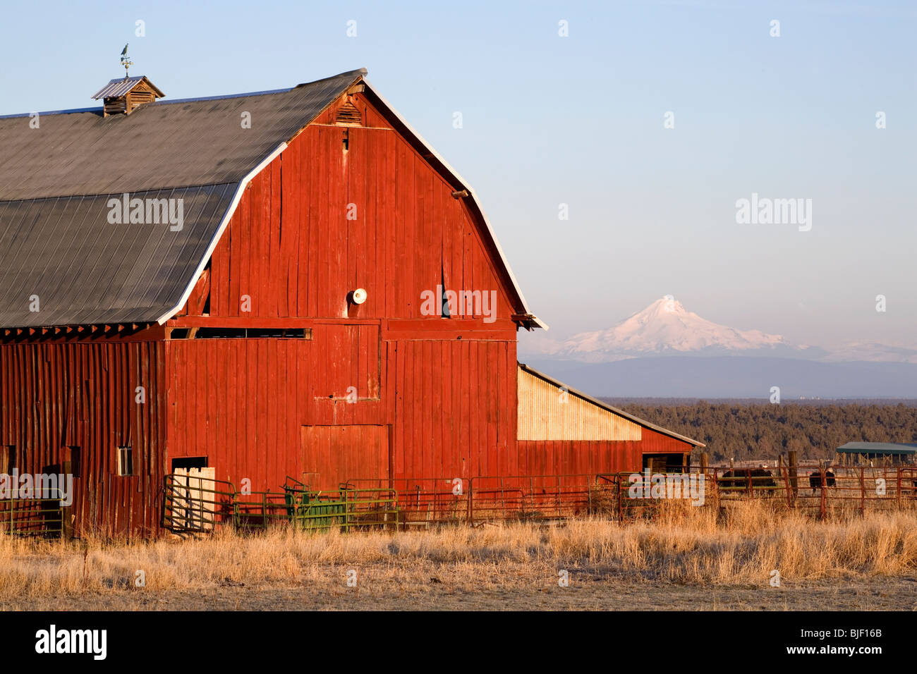 Eine alte rote Scheune mit Mount Jefferson im Hintergrund, in Zentral-Oregon Stockfoto