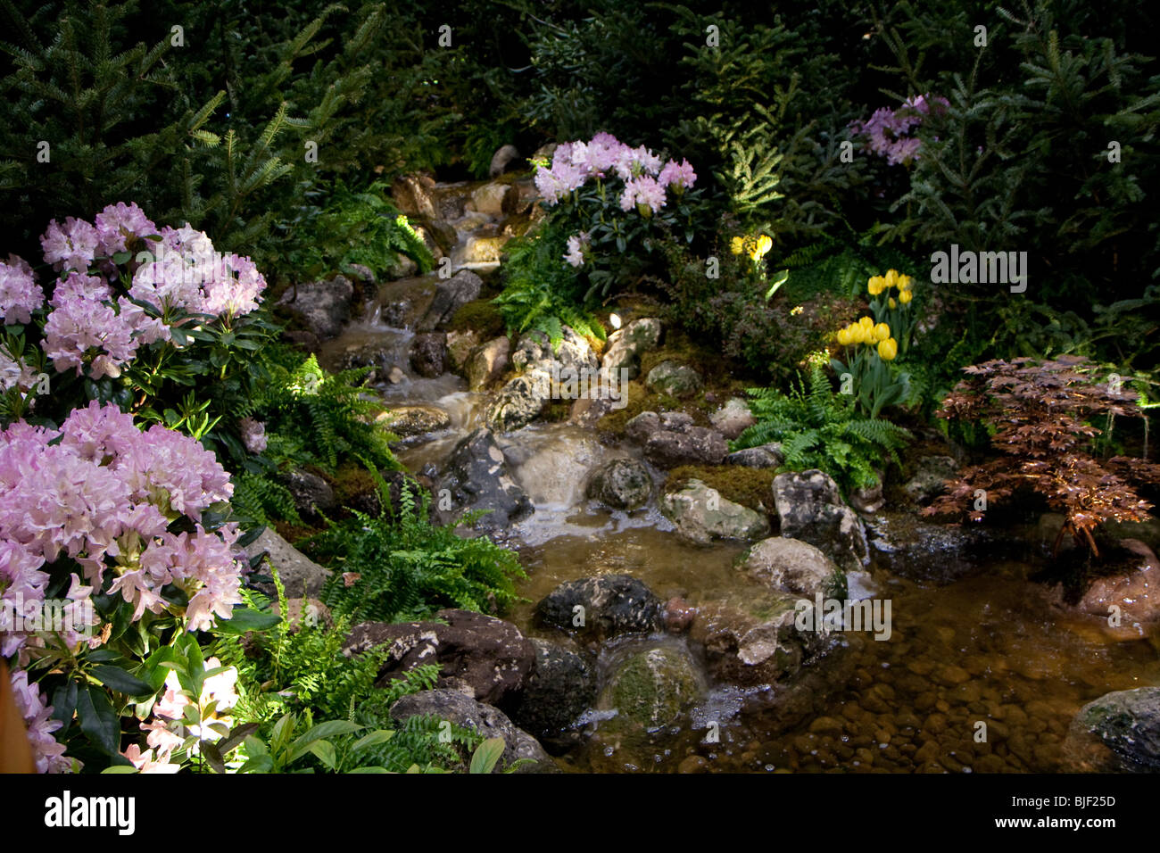 Garten Wasser fließenden laufenden Blume Pflanze Frühling Stockfoto