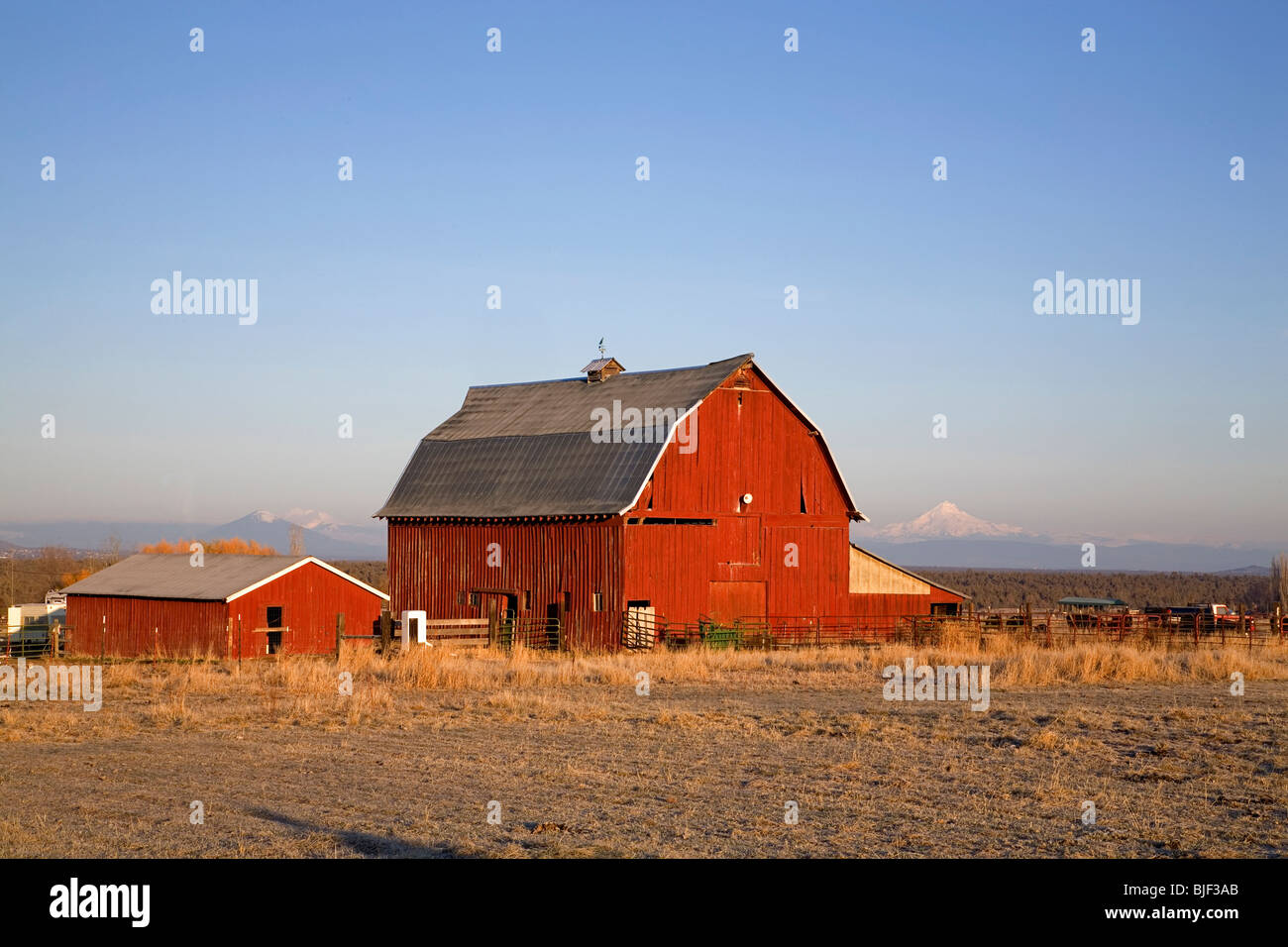 Eine alte rote Scheune mit Mount Jefferson im Hintergrund, in Zentral-Oregon Stockfoto