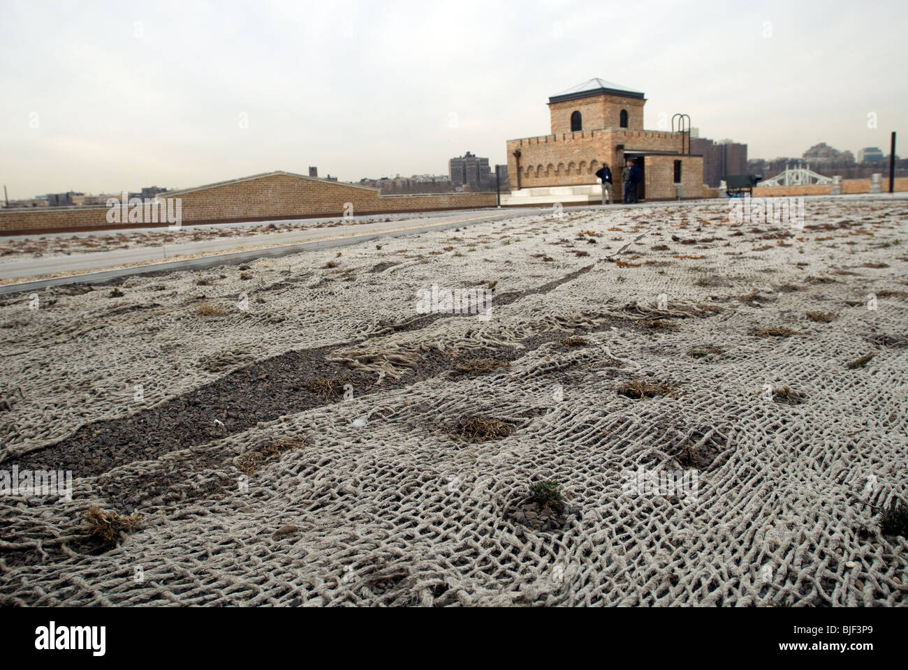 Das neu installierte grüne Dach des Maschinenhauses Gebäude in Mill Pond Park im New Yorker Stadtteil Bronx Stockfoto