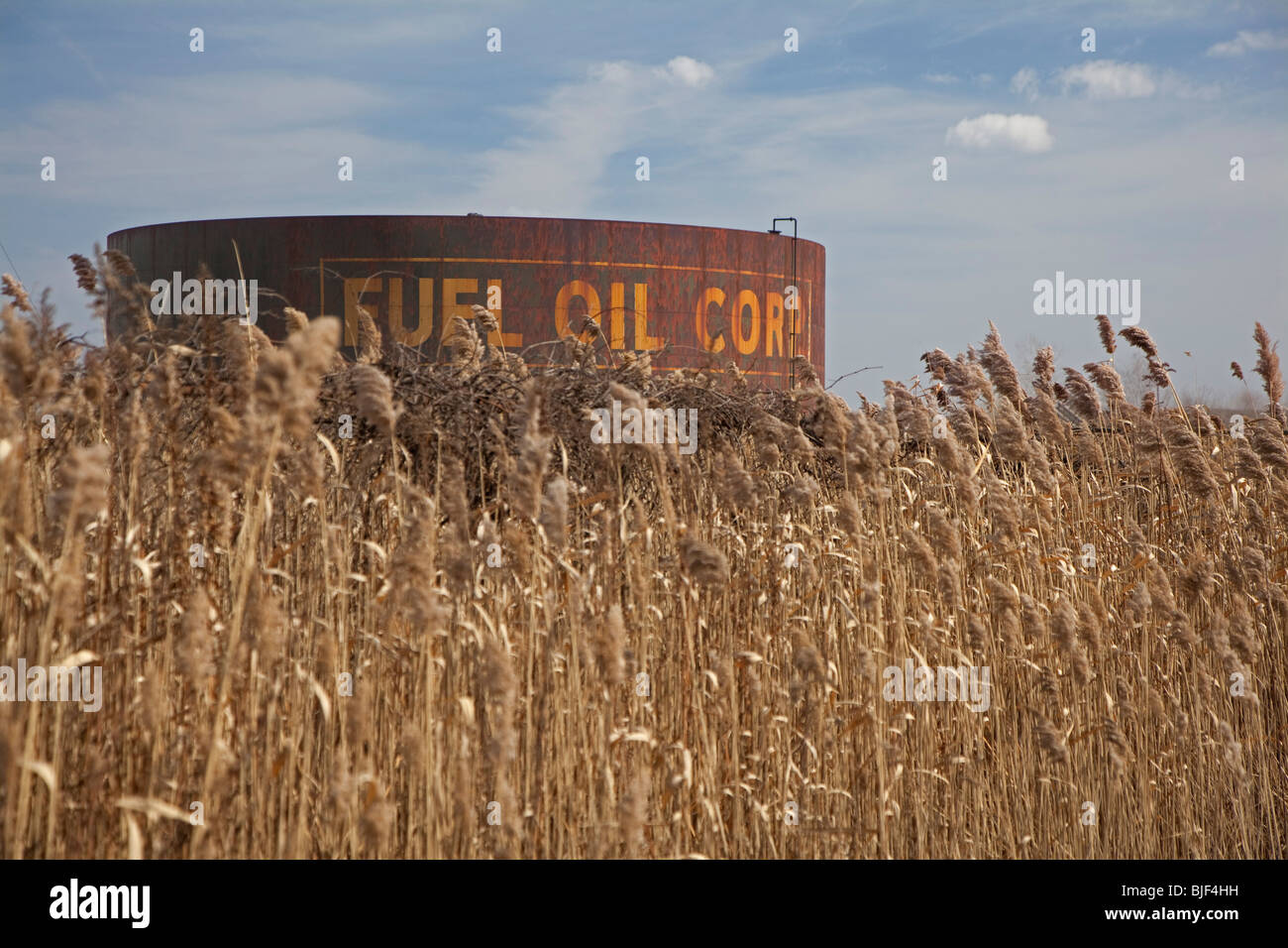 River Rouge, Michigan - ein Öltank in Feuchtgebieten in der Nähe von den Detroit River. Stockfoto
