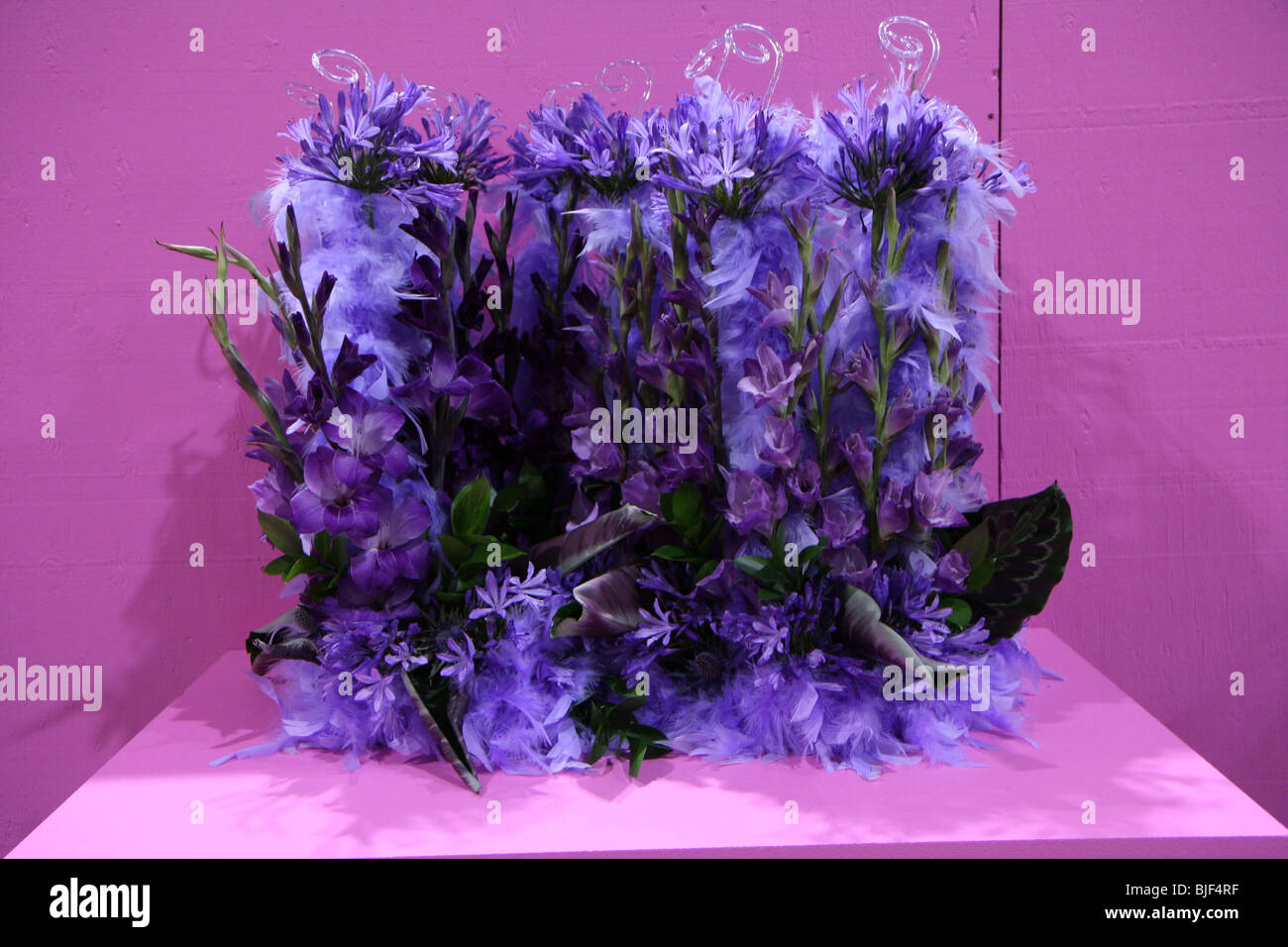 Blumenstrauß blüht Blüte Haufen Geschenk Blumen bunte Blumenschmuck lila Hintergrund Stockfoto