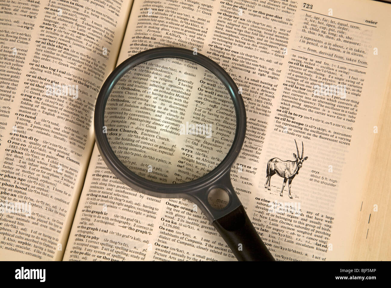 Lupe und Wörterbuch auf Schreibtisch Stockfoto