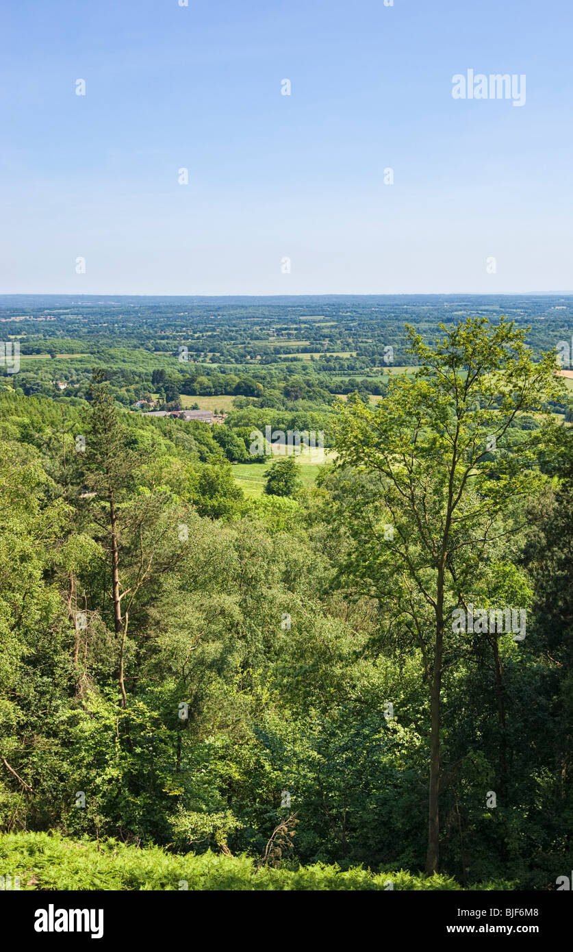 Blick über die flache Weald in Richtung der South Downs von Leith Hill, Surrey, England, UK Stockfoto