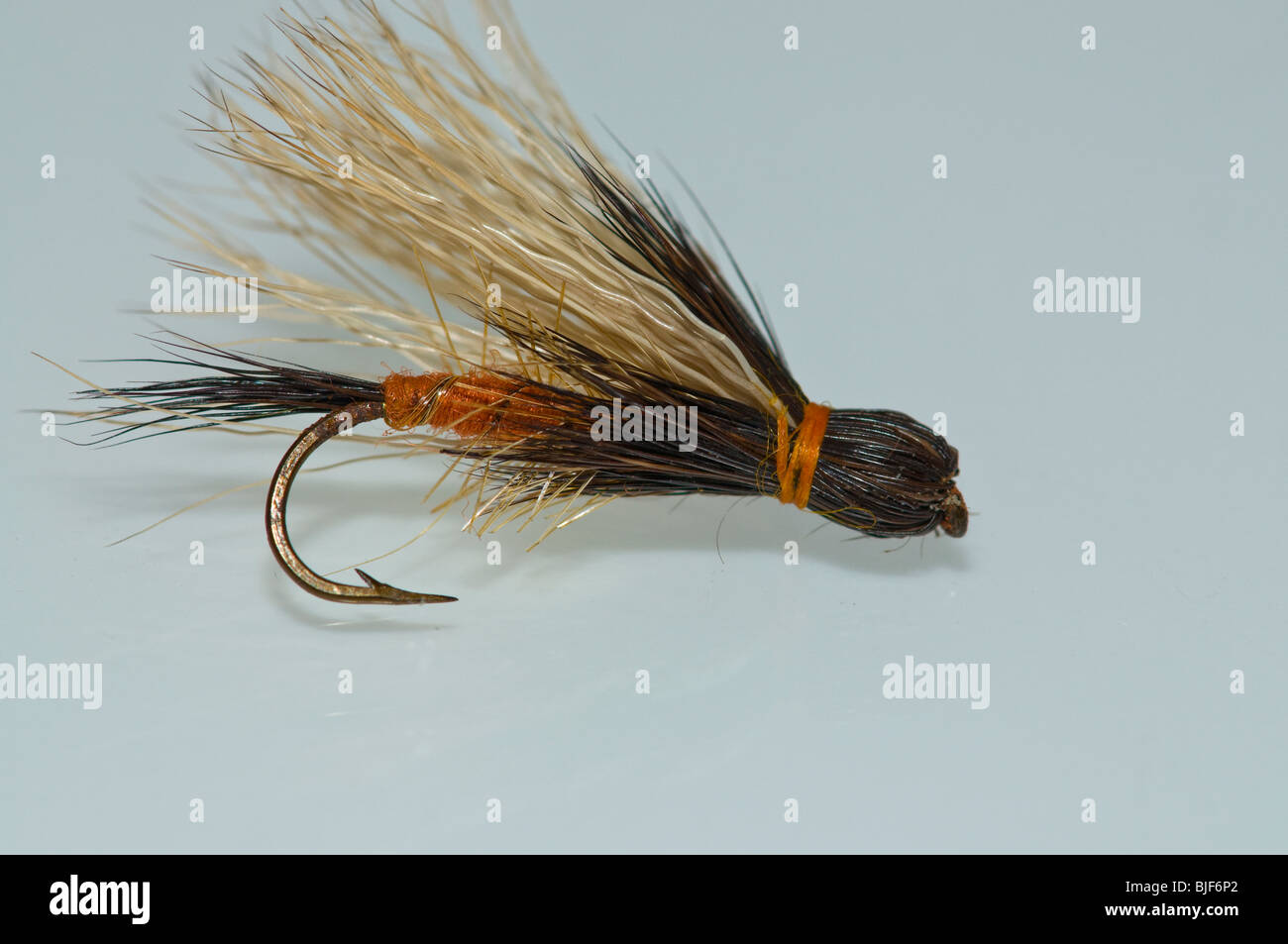 Forellen-Fly Stockfoto