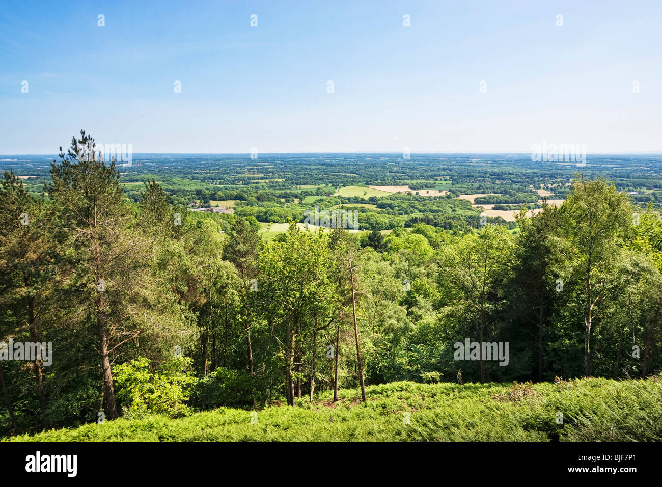 Britische Landschaft, Surrey Weald Blick Richtung South Downs von Sussex von oben von Leith Hill, Surrey, England, Großbritannien Stockfoto