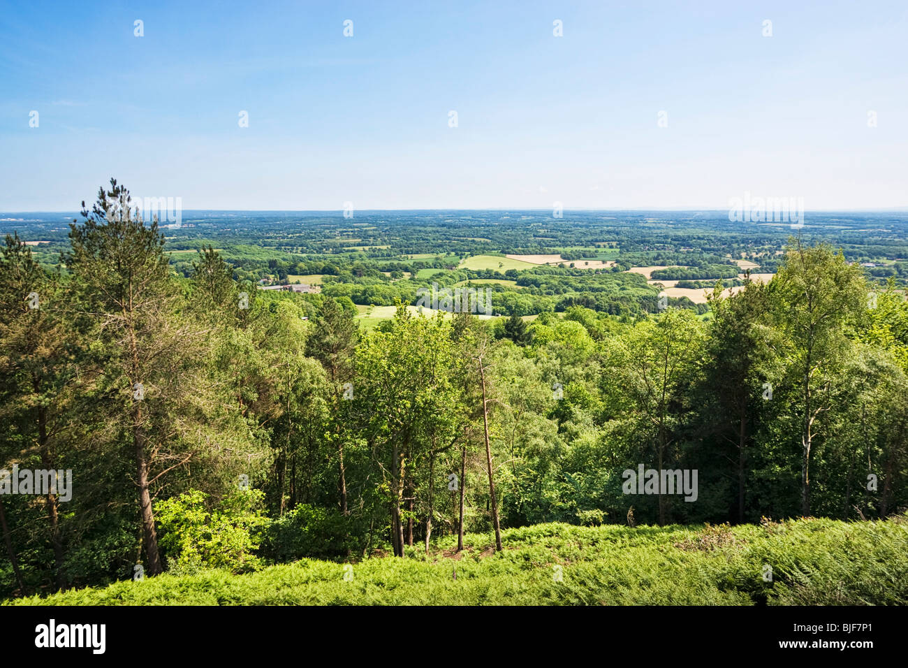 South Downs, britische Landschaft, Surrey Weald Blick in Richtung Sussex vom Gipfel des Leith Hill, England Stockfoto