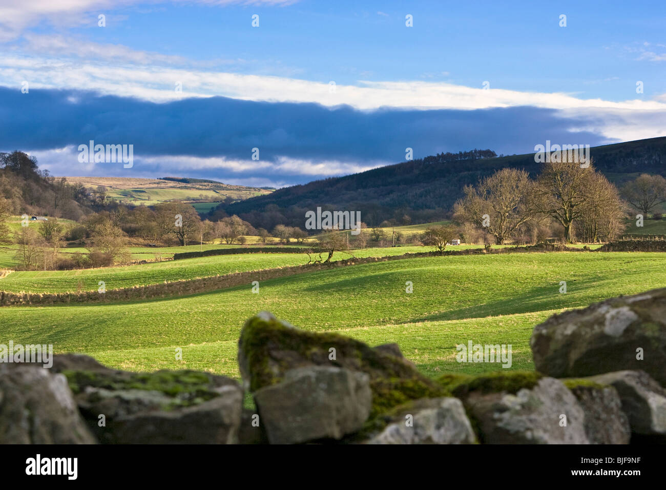 Swaledale in den Yorkshire Dales National Park, England, Großbritannien Stockfoto