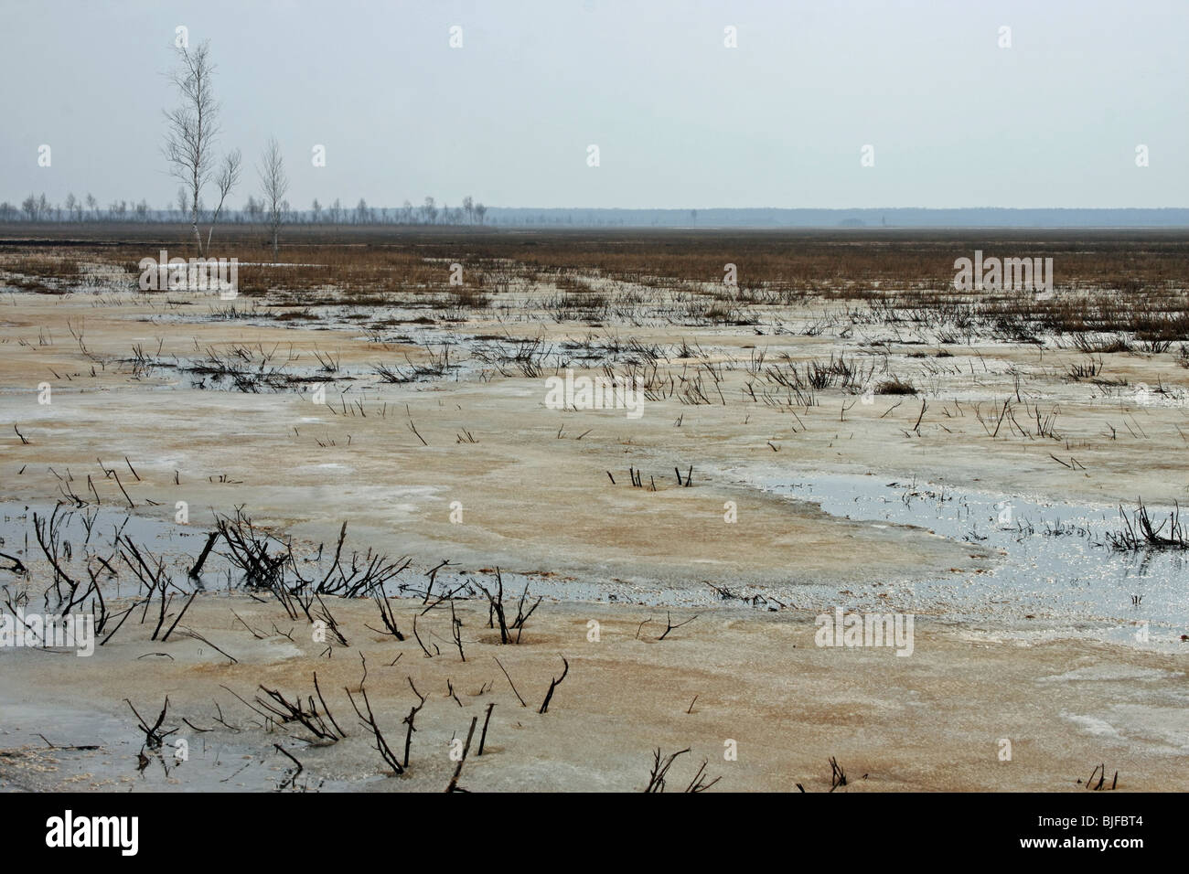 breitet sich der Fluss Biebrza, marschiert in OstPolen Stockfotografie