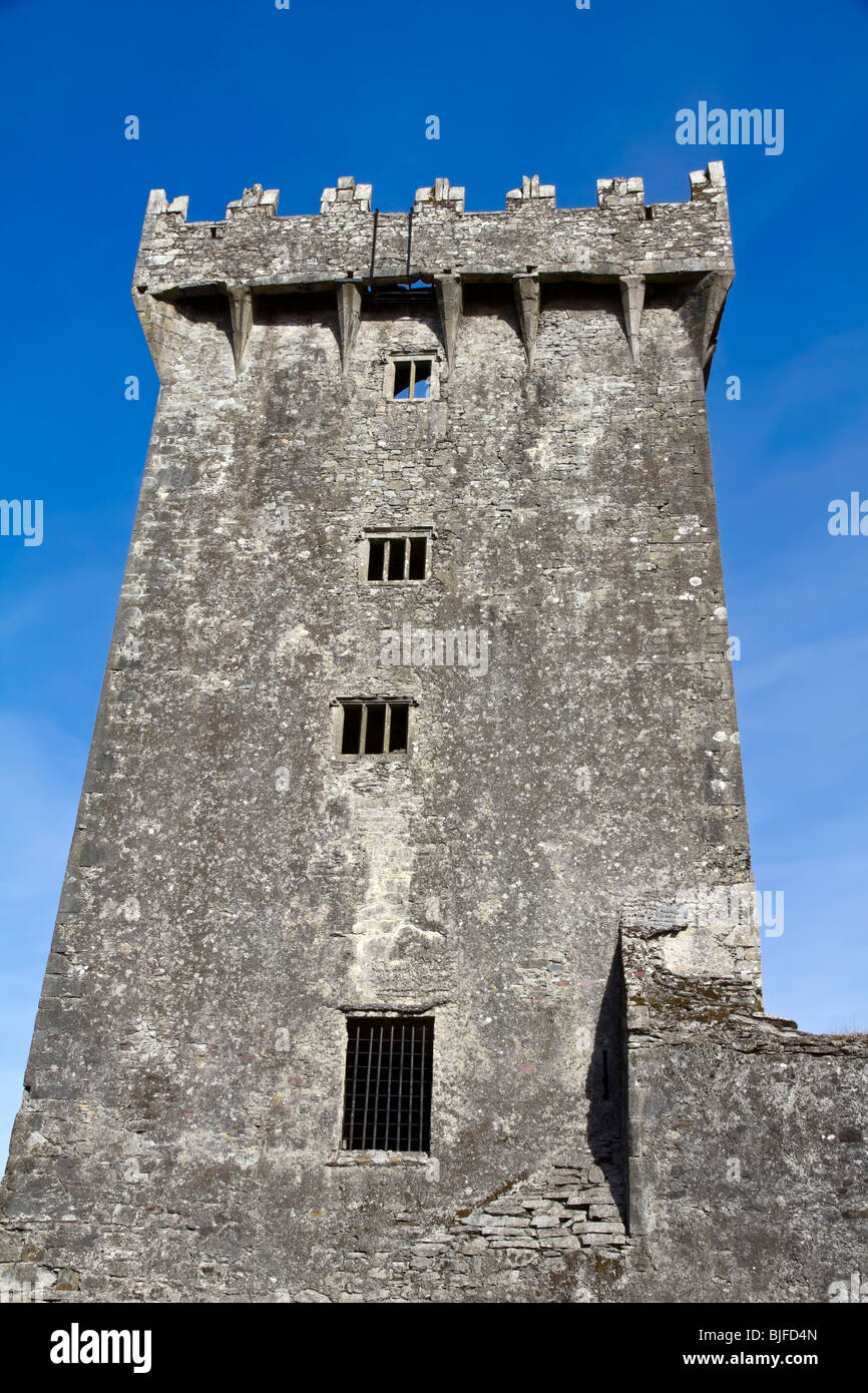 Blarney Castle in Co.Cork, Republik Irland, Heimat von weltberühmten Geschwätz Stein Stockfoto