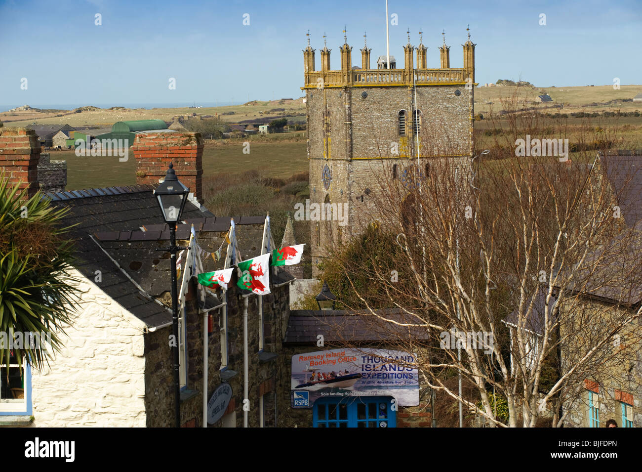 St Davids Stadt und Kathedrale, Pembrokeshire Wales UK Stockfoto