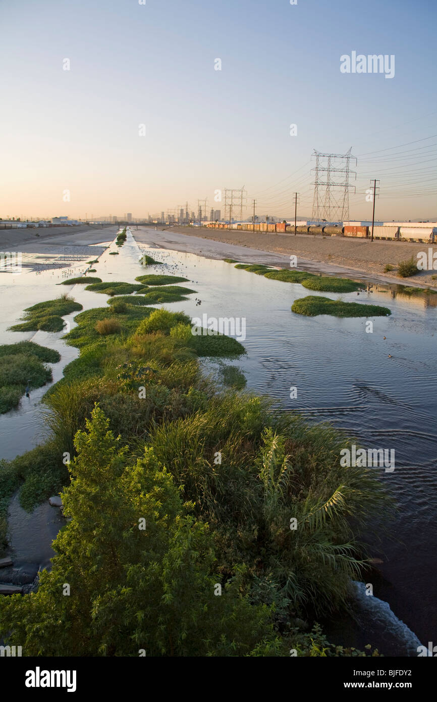 Los Angeles River mit Wasservögeln, südlich der Innenstadt von Los Angeles. Bell, Los Angeles, Kalifornien, USA Stockfoto