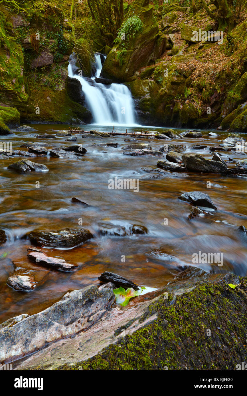 Mullinghassig Fluss und Wasserfall, Co.Cork, Irland Stockfoto