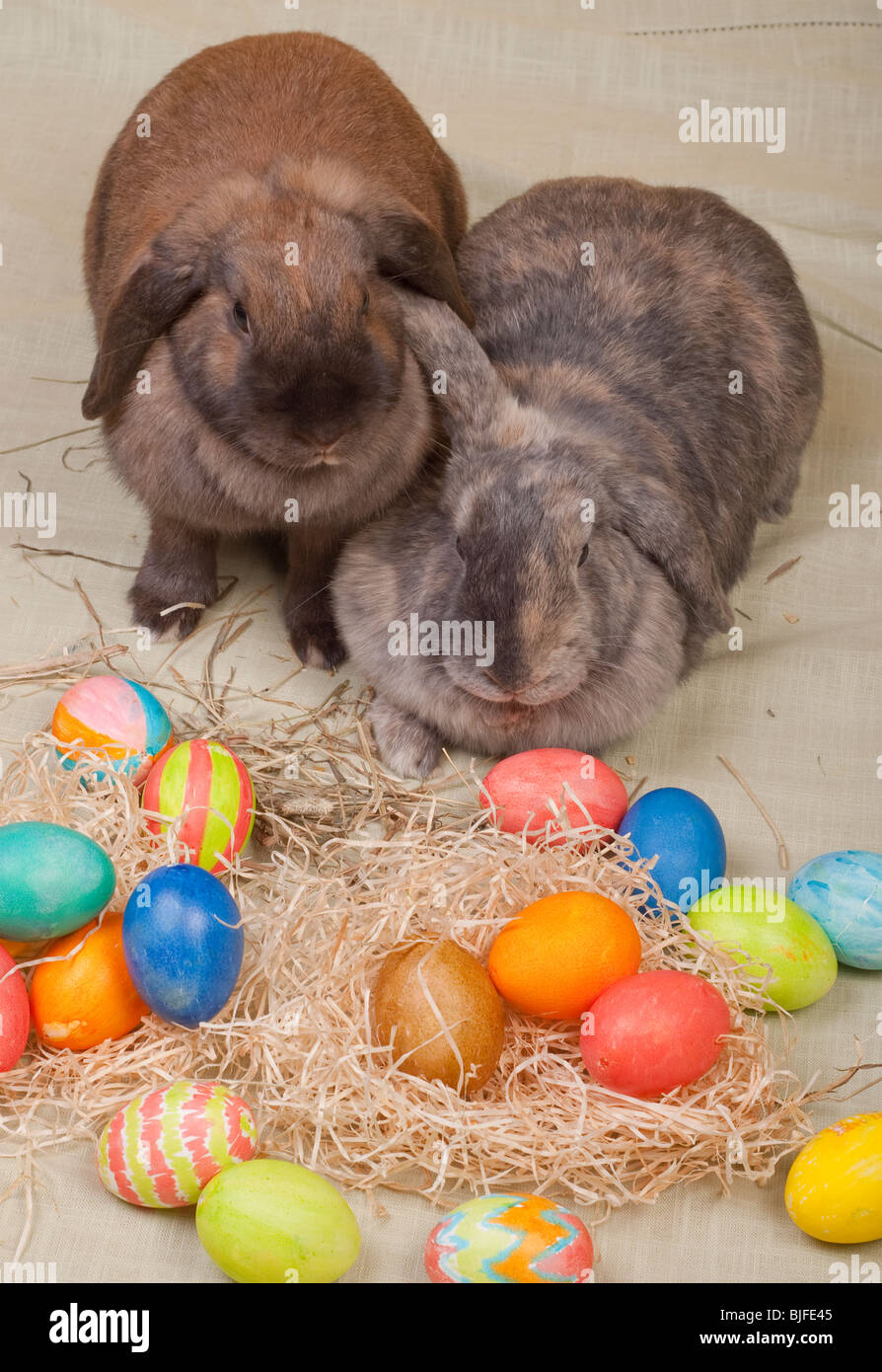 Zwei Osterhasen mit Hand bemalte Ostereier Stockfoto
