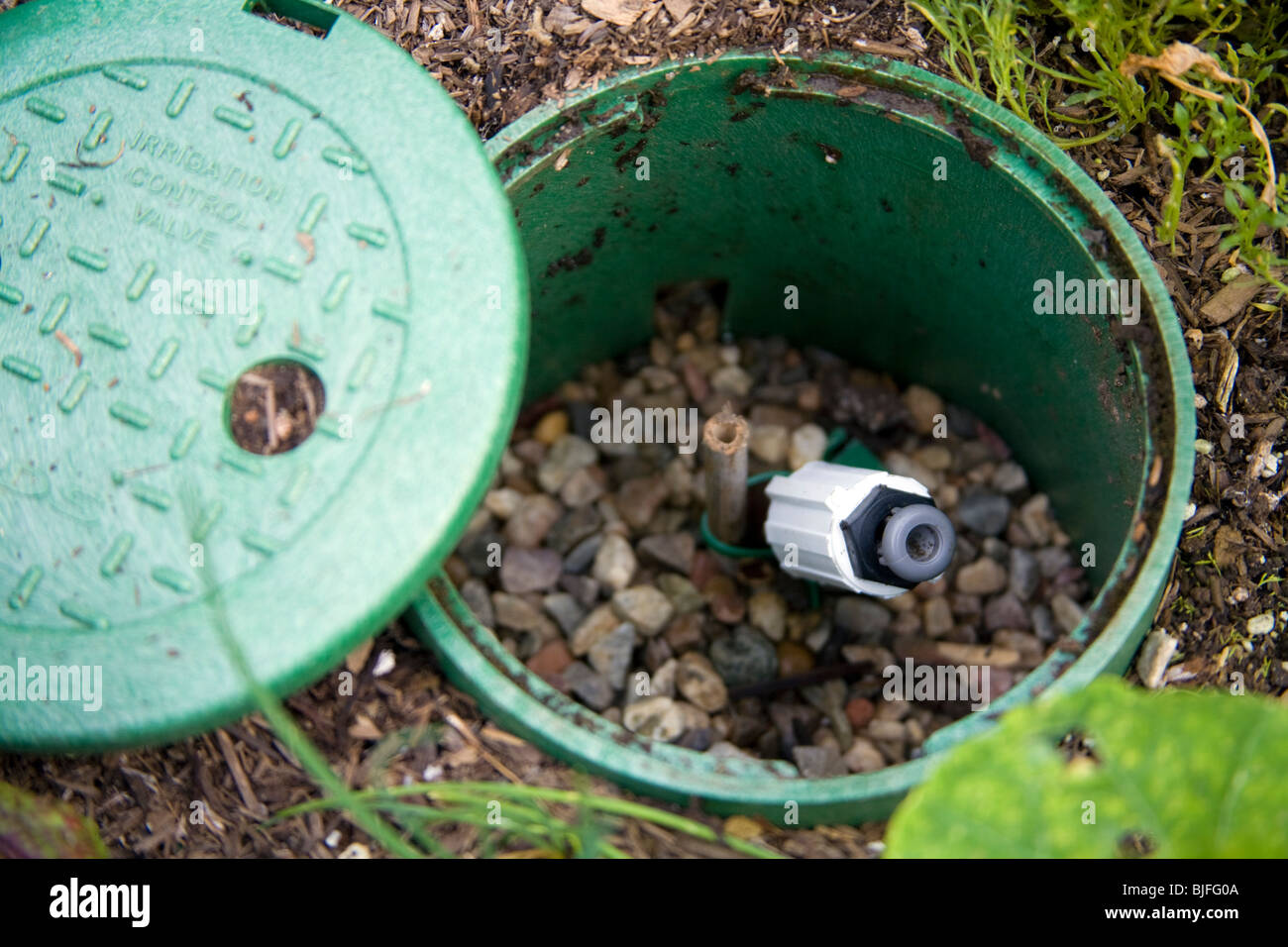 Netafim Bewässerung Steuerventil vor Hof Garten. Los Angeles, Kalifornien, USA Stockfoto