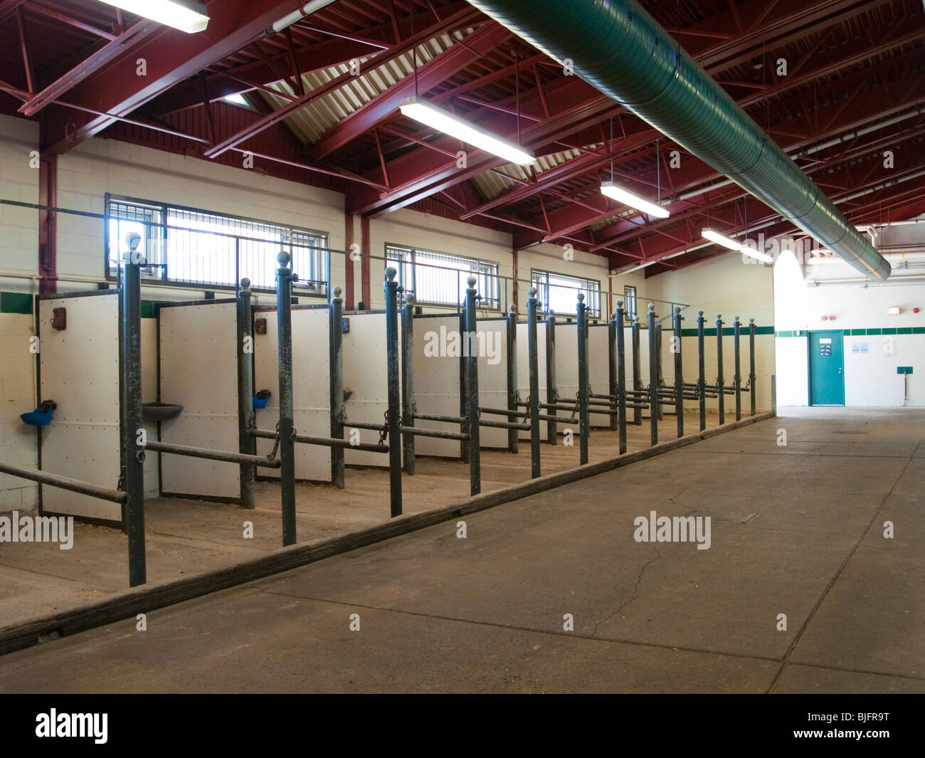 Die Stallungen auf der RCMP (Royal Canadian Mounted Police) Musical Ride Center in Ottawa, Ontario Kanada Stockfoto