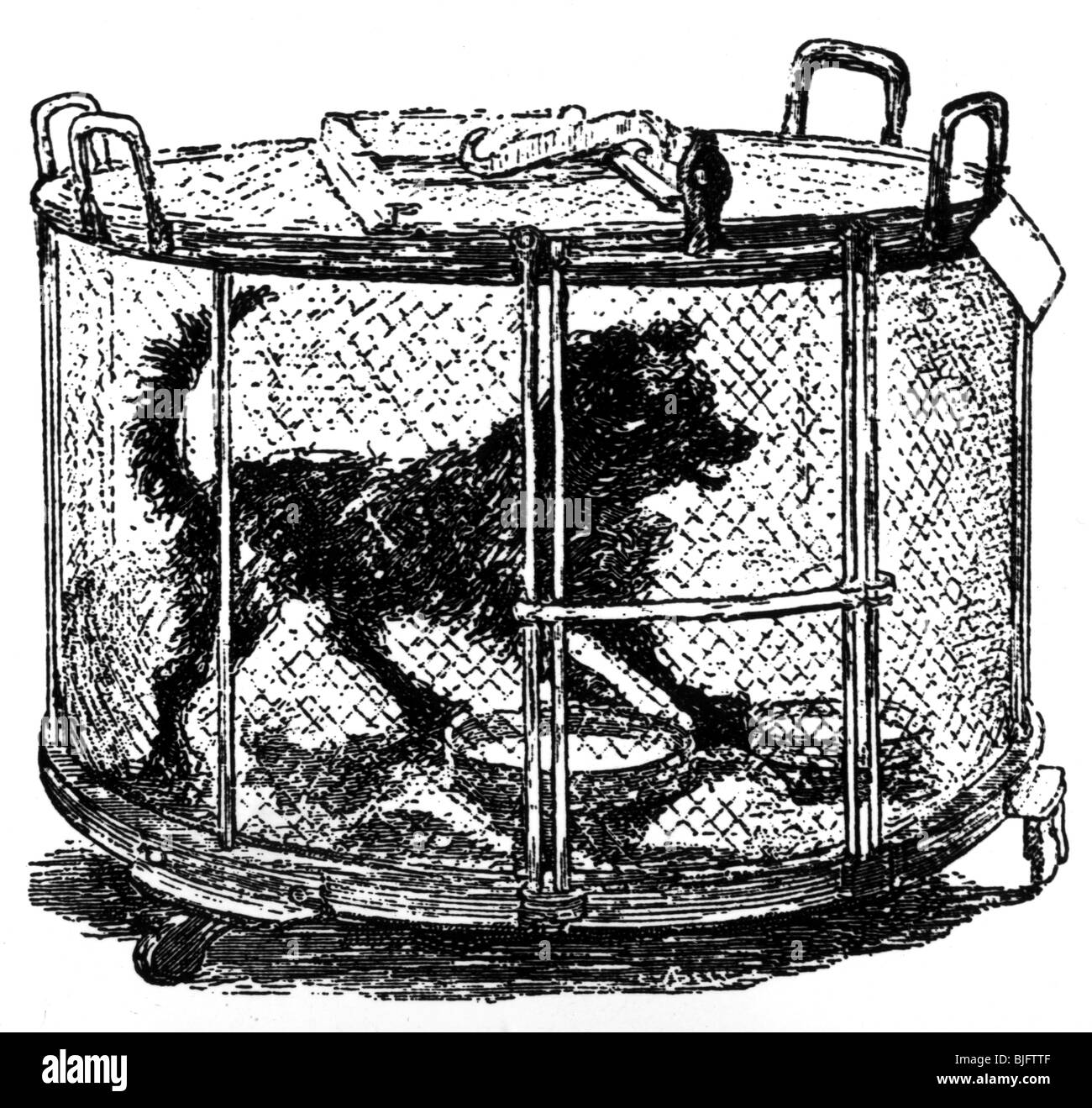 Goltz, Friedrich Leopolds, 14.8.1834 - 5.5.1902, deutscher Arzt, Laborhund in einem Portablö-Käfig, Holzgravur, 19. Jahrhundert, Stockfoto