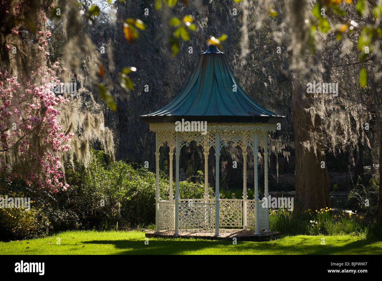 Magnolia Plantation und Gärten, Charleston, South Carolina Stockfoto