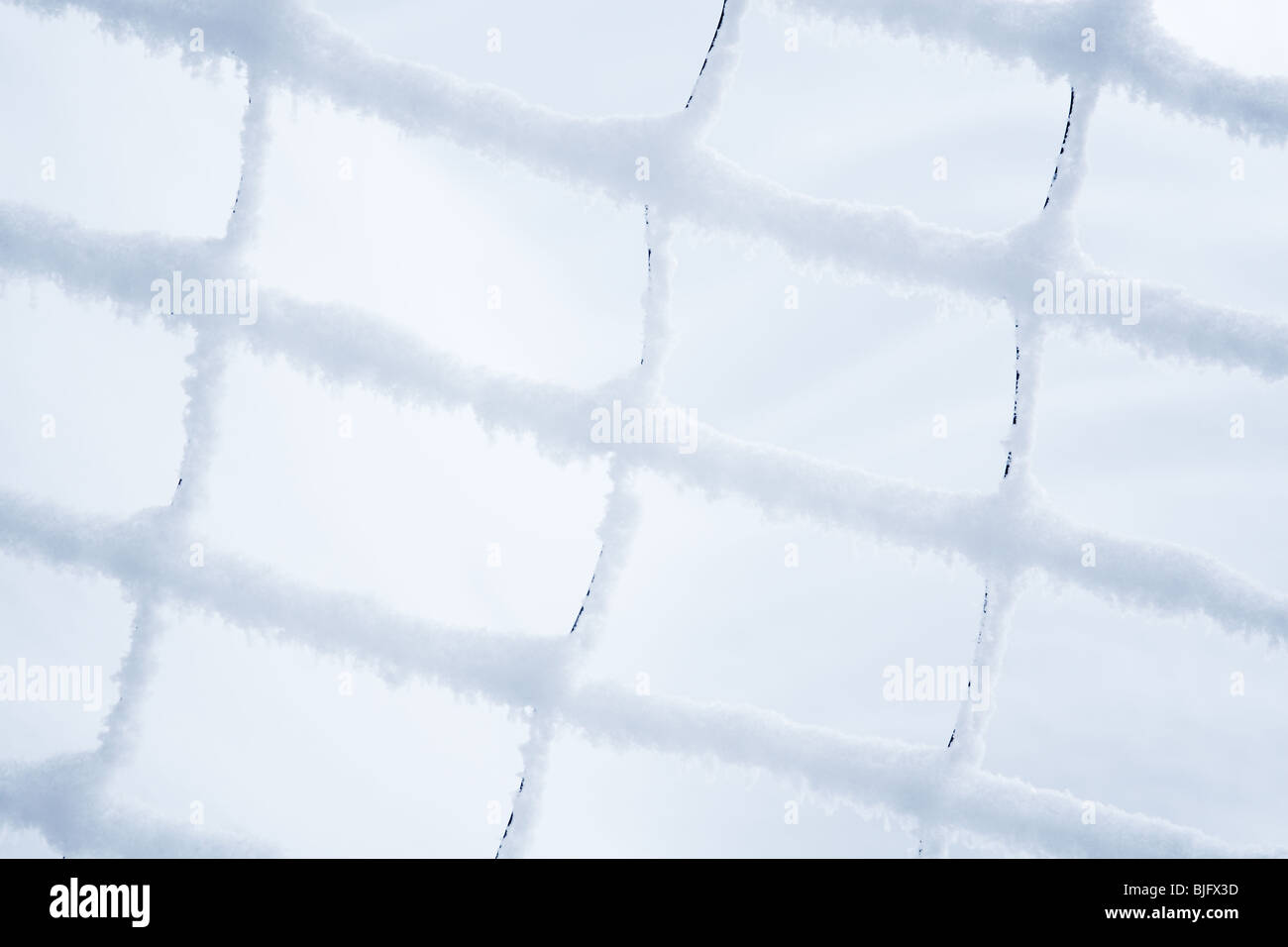 Nahaufnahme eines Netzes kauerte mit Schnee Stockfoto