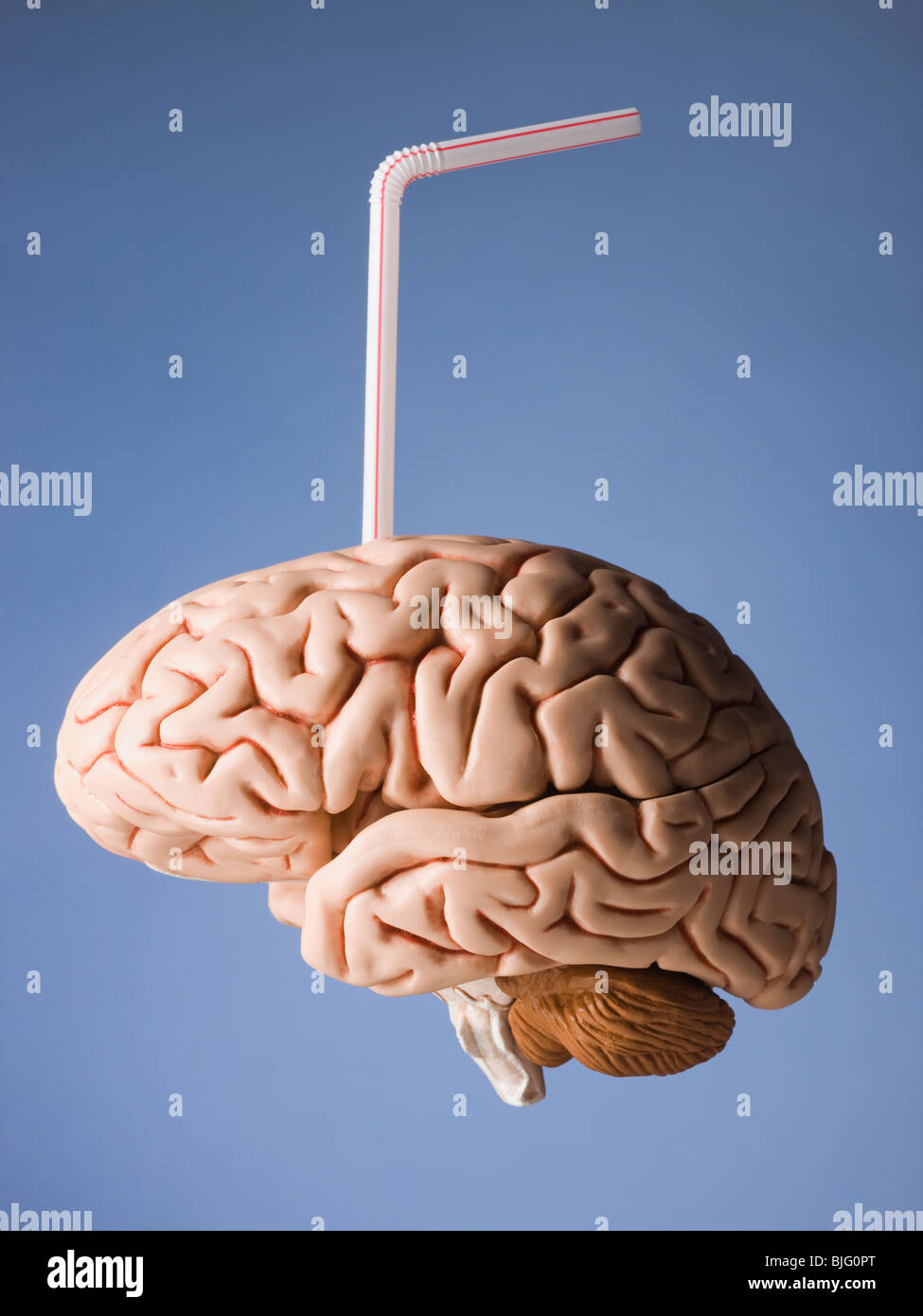 Gehirn mit einem Strohhalm drin Stockfoto