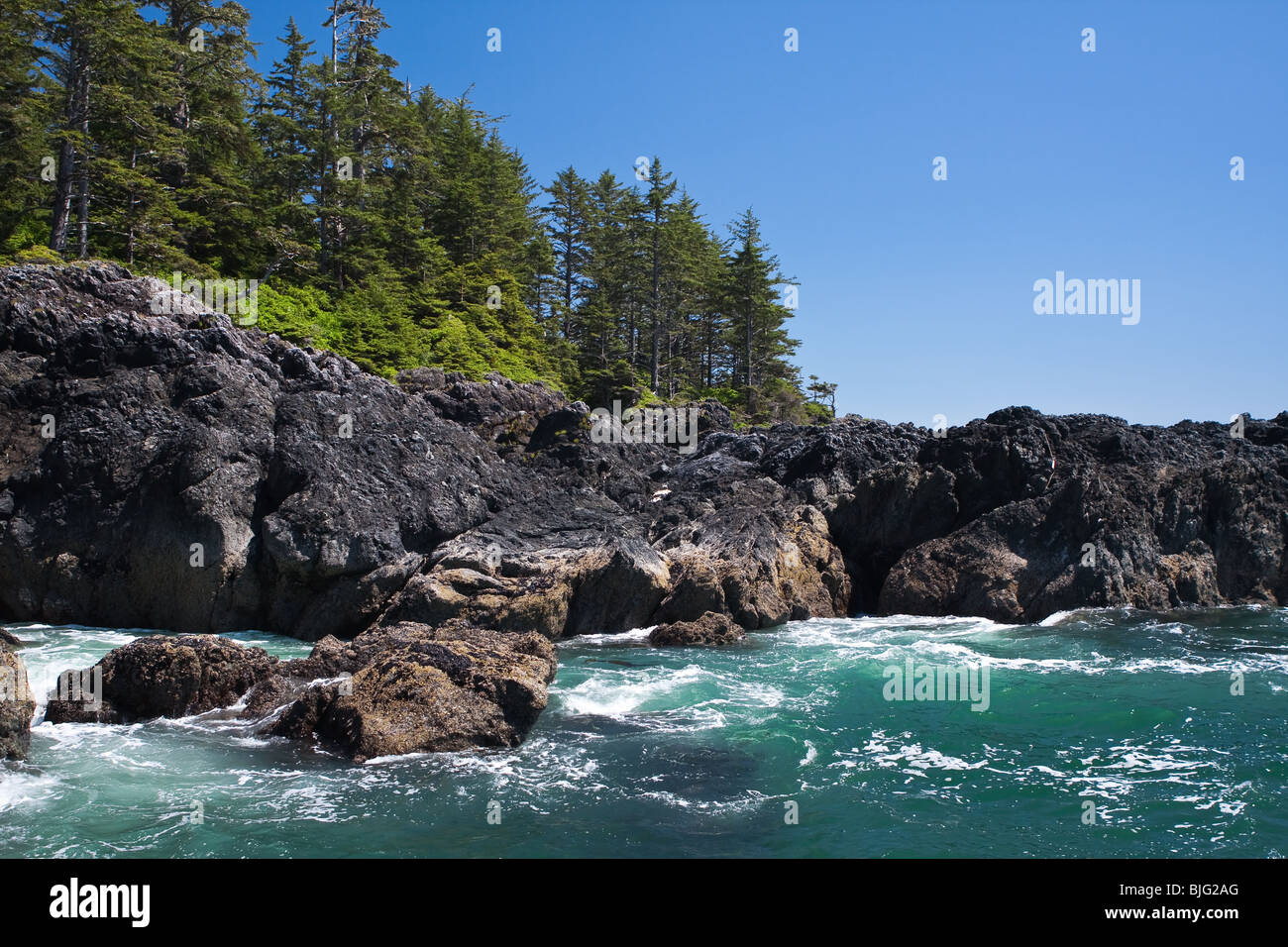 Zerklüftete Küste des Pazifik, Vancouver Island, Britisch-Kolumbien. Stockfoto