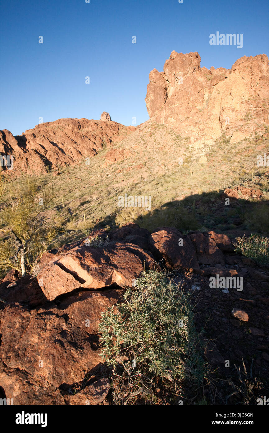 Raue Schönheit des Gebirges KOFA, KOFA Wildlife Refuge, Arizona Stockfoto