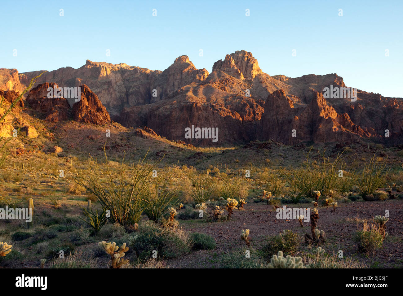 Raue Schönheit des Gebirges KOFA, KOFA Wildlife Refuge, Arizona Stockfoto