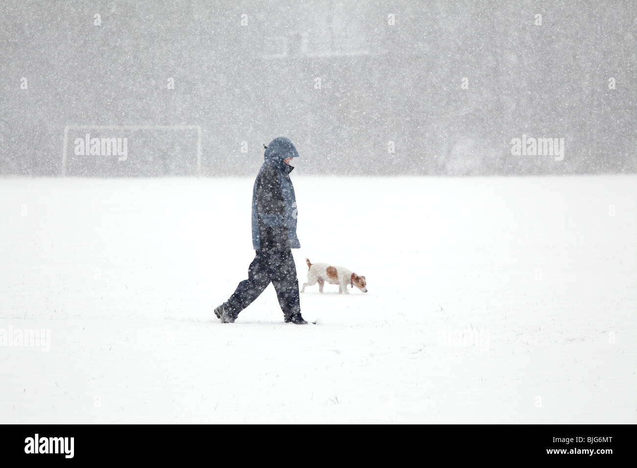 Person, die einen Hund im Winterschnee läuft, Schottland, Großbritannien Stockfoto