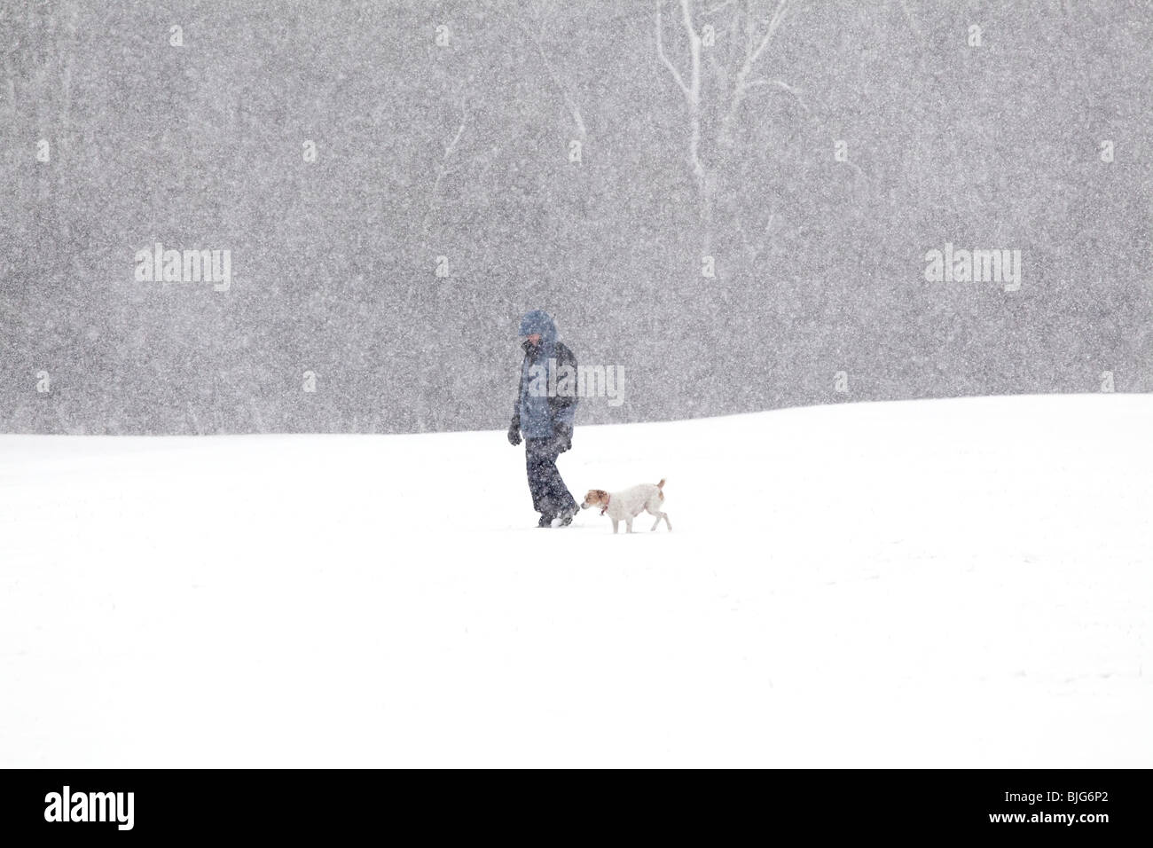 Person zu Fuß einen Hund im Schnee, Schottland, UK Stockfoto