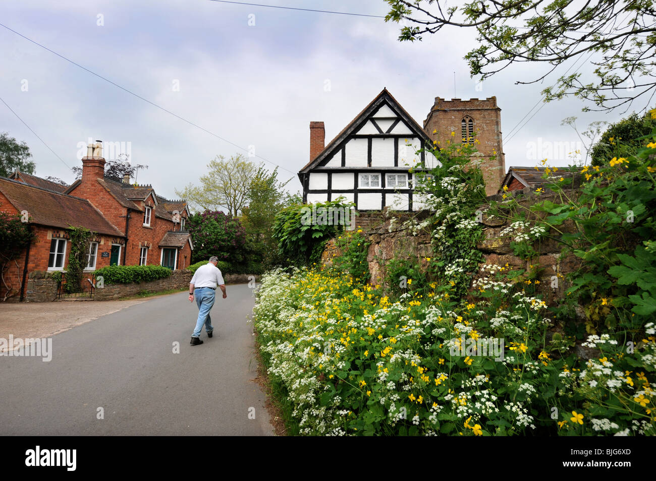 Ein Mann geht durch eine Gasse im Dorf Redmarley D'Abitot, Gloucestershire mit der Kirche von St. Bartholomäus Stockfoto