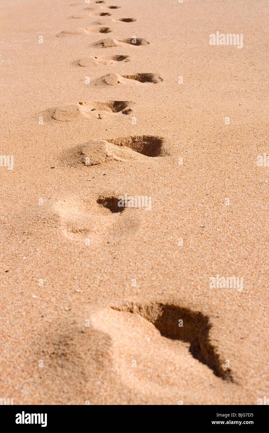 Fußabdrücke im sand -Fotos und -Bildmaterial in hoher Auflösung – Alamy