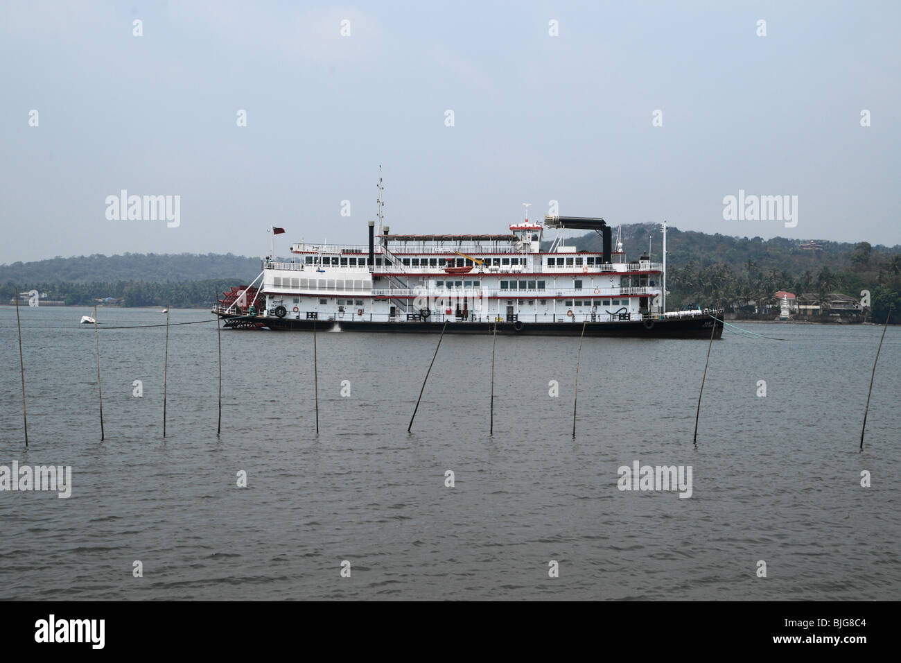 Tretboot auf dem Mandovi Fluss in Panjim Stockfoto