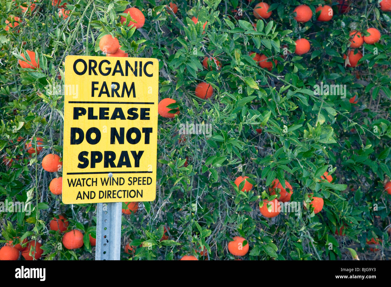 Schild "Bio Bauernhof - bitte nicht sprühen". Stockfoto
