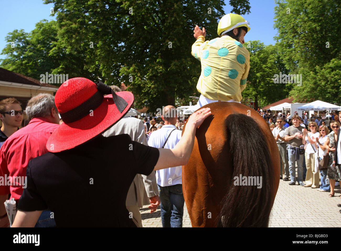 Ein Jockey auf einem Pferd begrüßen die Zuschauer bei Pferderennen, Iffezheim, Baden-Wurttemberg Stockfoto