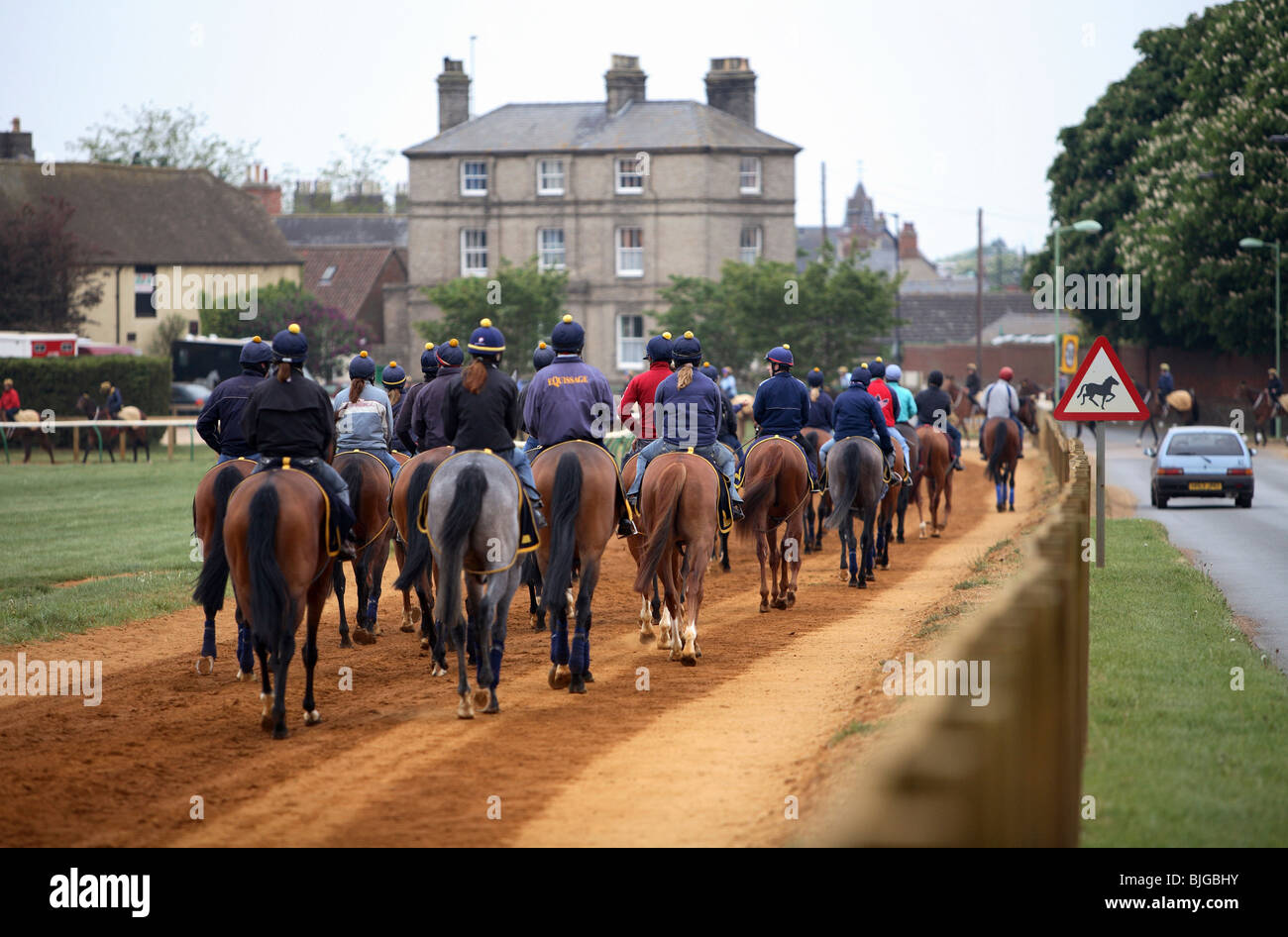 Männer auf Pferden beim Morgentraining, Newmarket, Großbritannien Stockfoto
