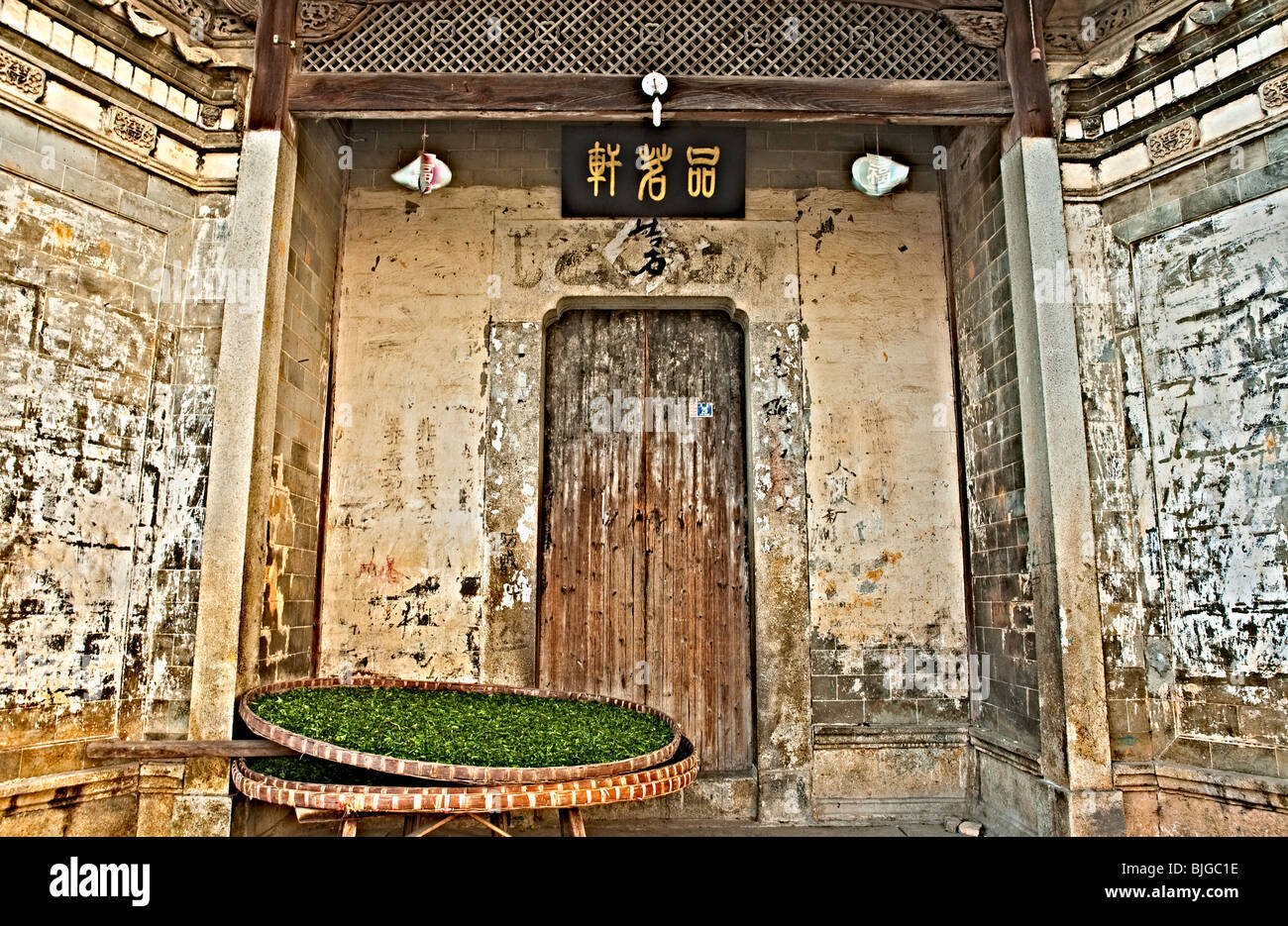 Trocknung Tee Blätter an der Tür des alten Hauses, Provinz Anhui, China Stockfoto
