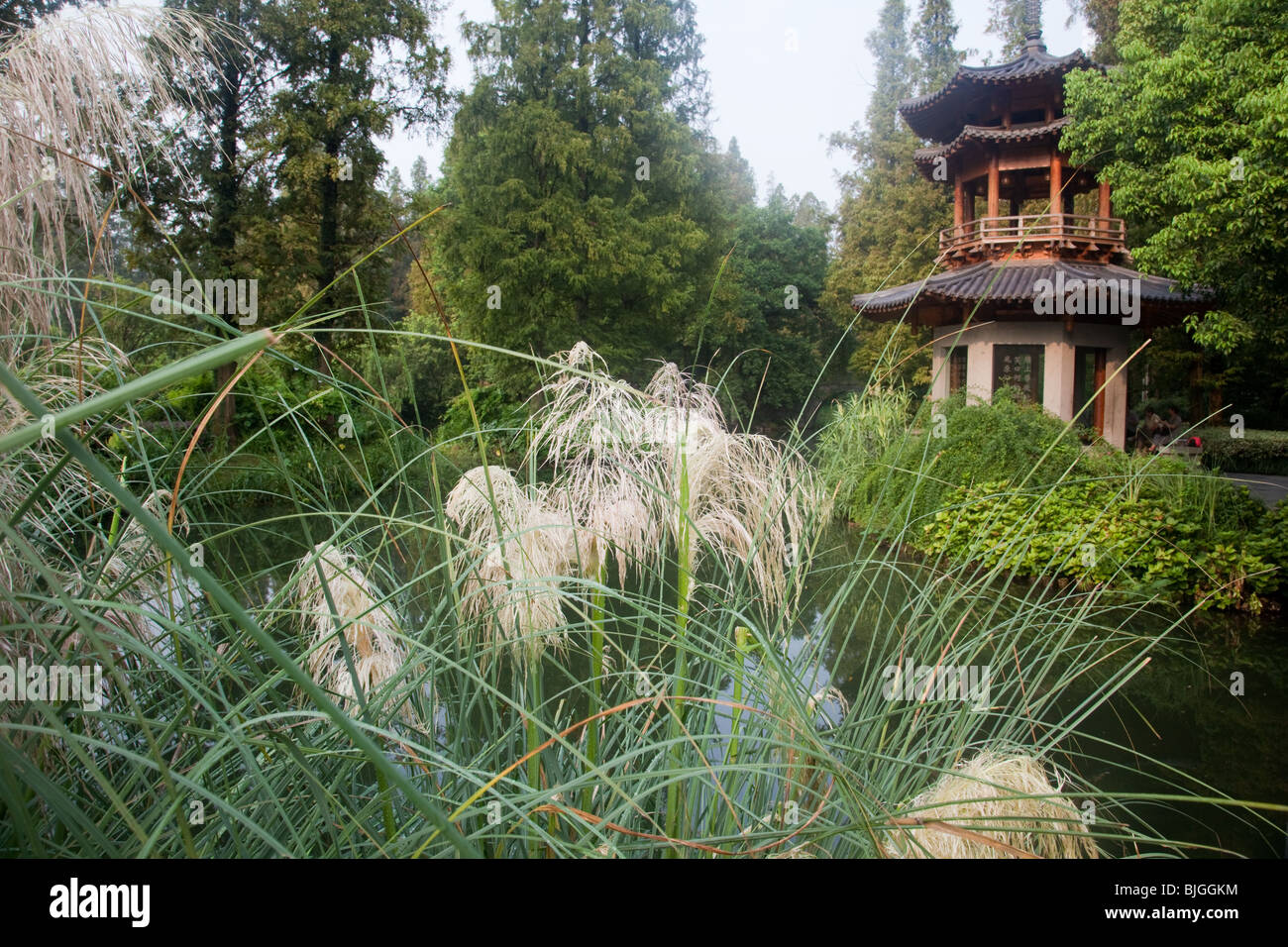 Xi Hu, West Lake Hangzhou, China Stockfoto