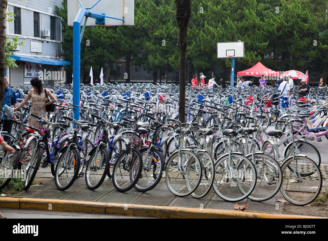 Fahrräder zum Verkauf zu Beginn des Semesters auf dem Campus der Fudan Universität in Shanghai, China Stockfoto