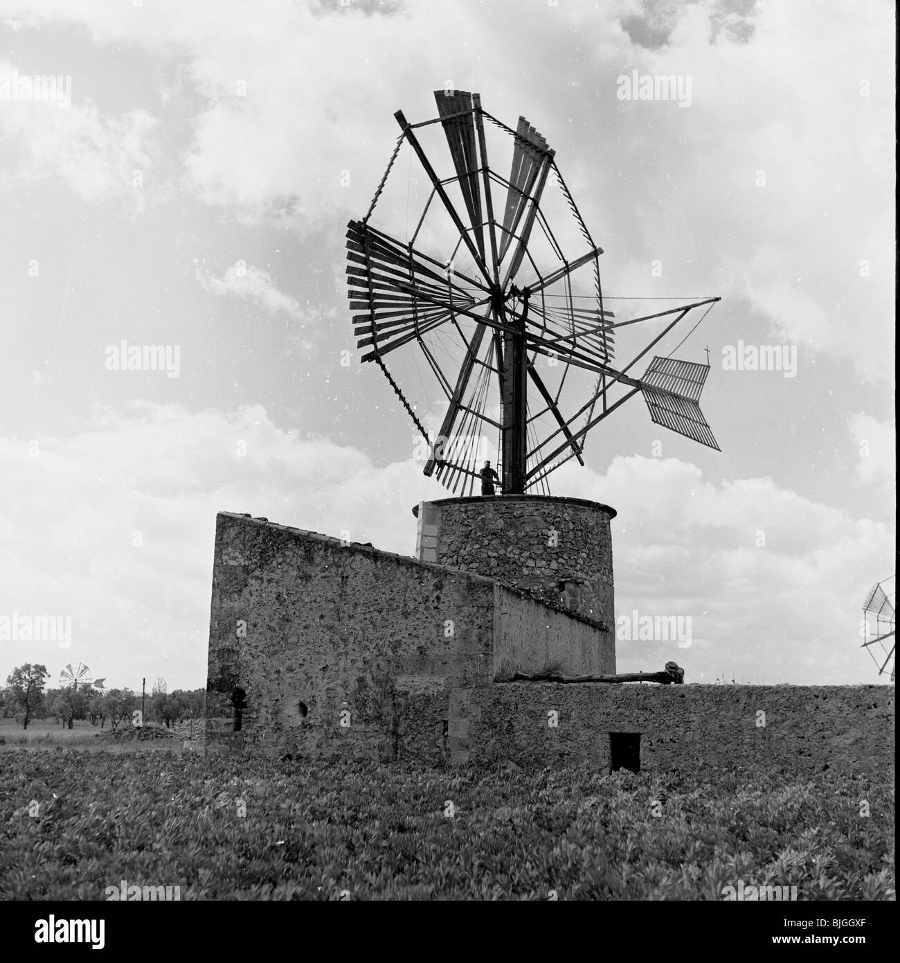 der 1950er Jahre in dieses Geschichtsbild durch J Allan Cash sehen wir eine traditioneller Bauernhof Windmühle auf dem Lande, Palma, Spanien. Stockfoto