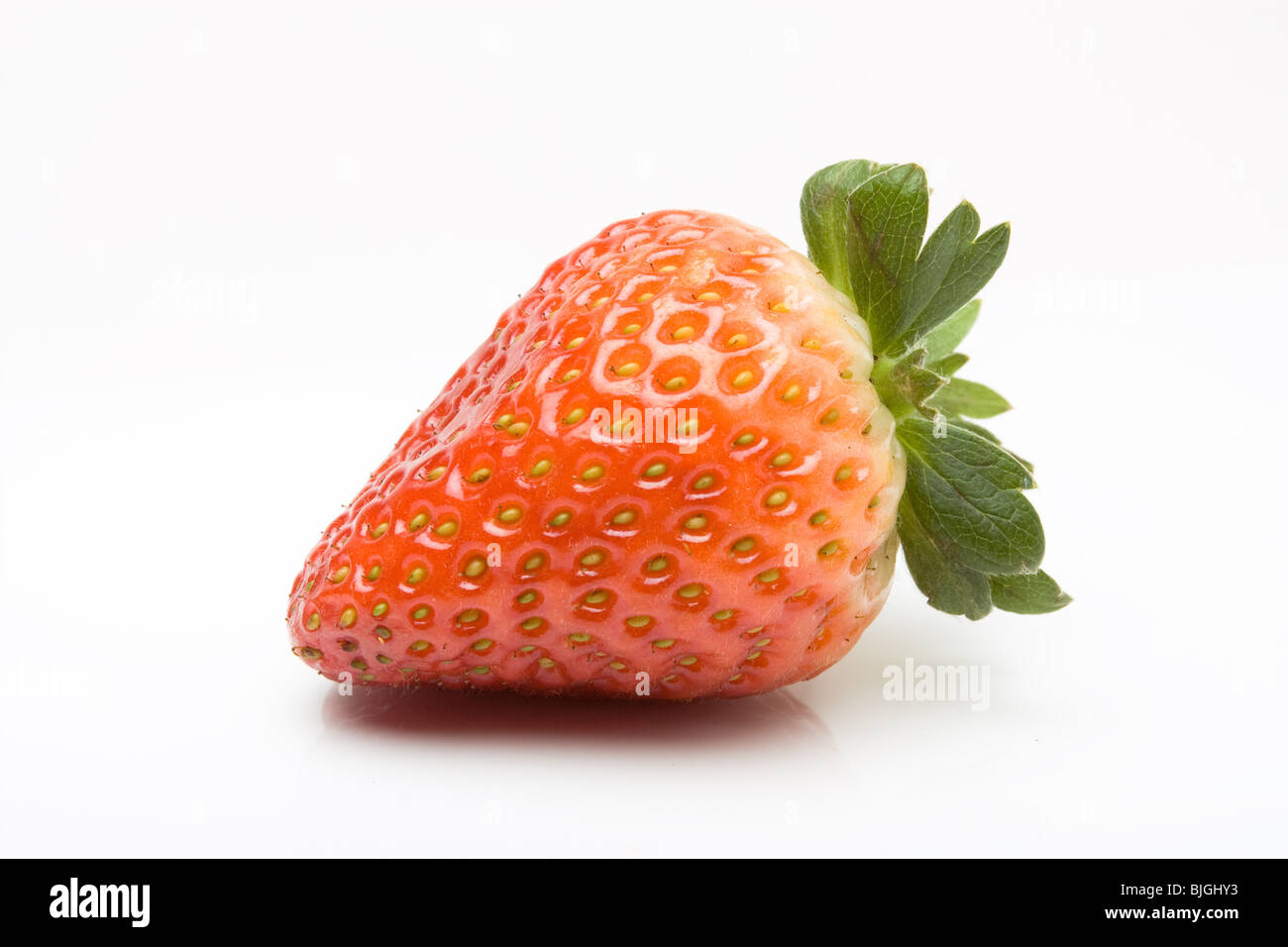Große spanische Reife Erdbeere aus niedrigen Sicht auf weißen Hintergrund isoliert. Stockfoto