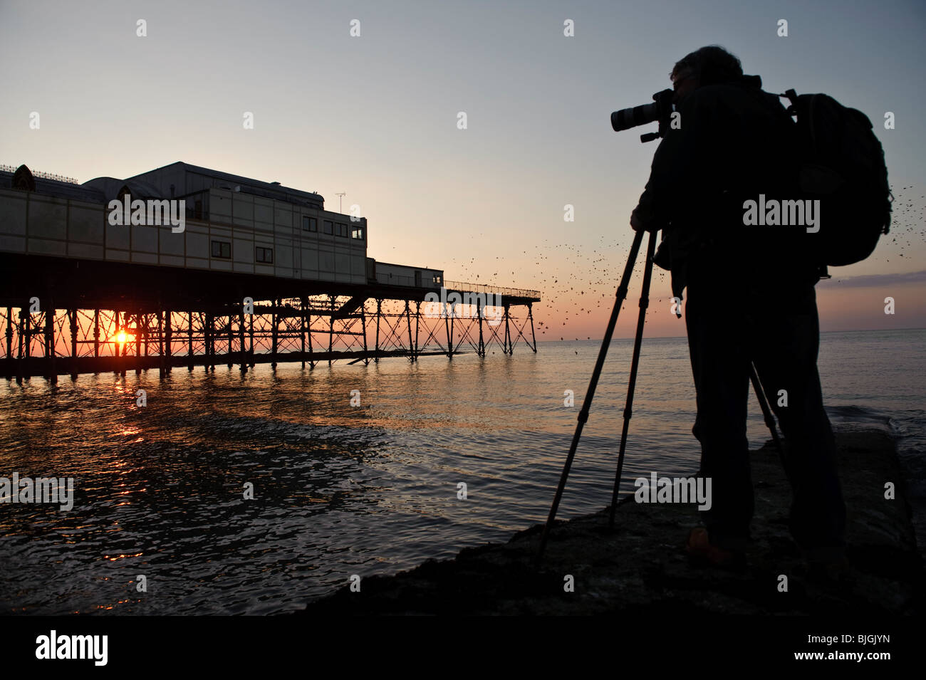 Professioneller Fotograf Jerry Moore Stare Schlafplatz bei Sonnenuntergang zu fotografieren. Aberystwyth Pier West Wales UK Stockfoto