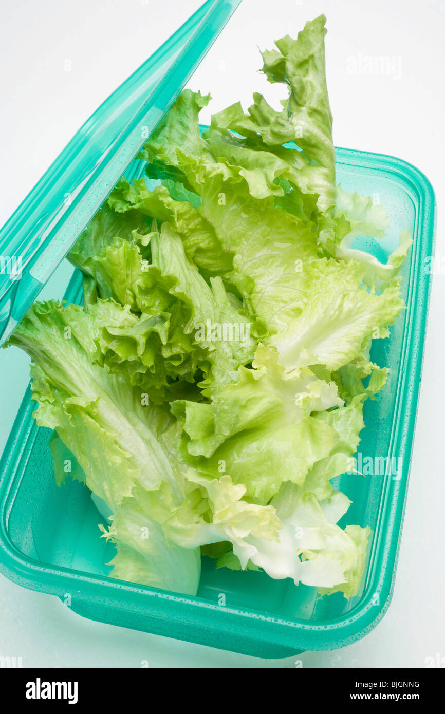 Salat in Essen-Aufbewahrungsbox Stockfotografie - Alamy