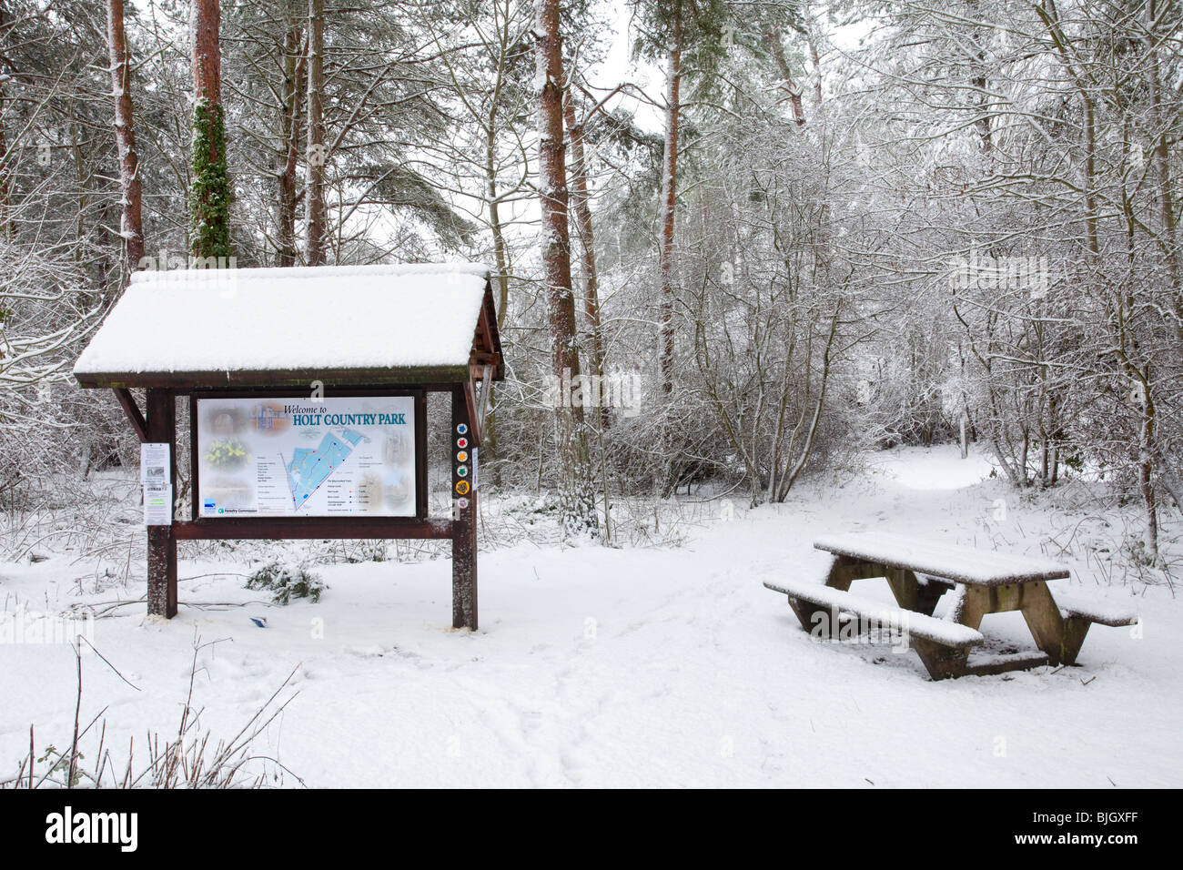 Verschneite Szenen in Holt Country Park in Norfolk, Großbritannien Stockfoto