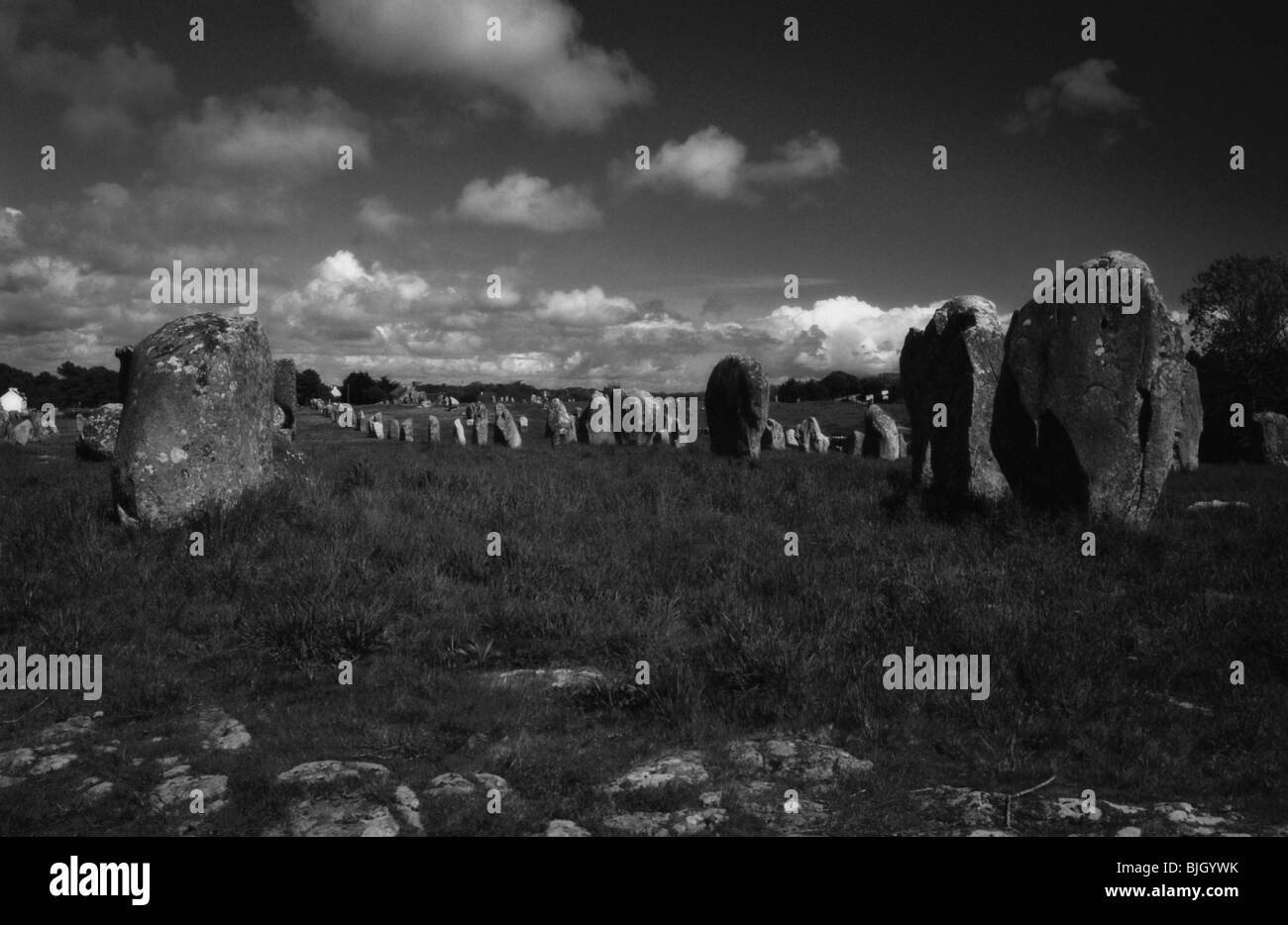 Stehenden Steinen. Kermario neolithischen Ausrichtungen. Carnac Stones. Morbihan, Bretagne. Frankreich Stockfoto
